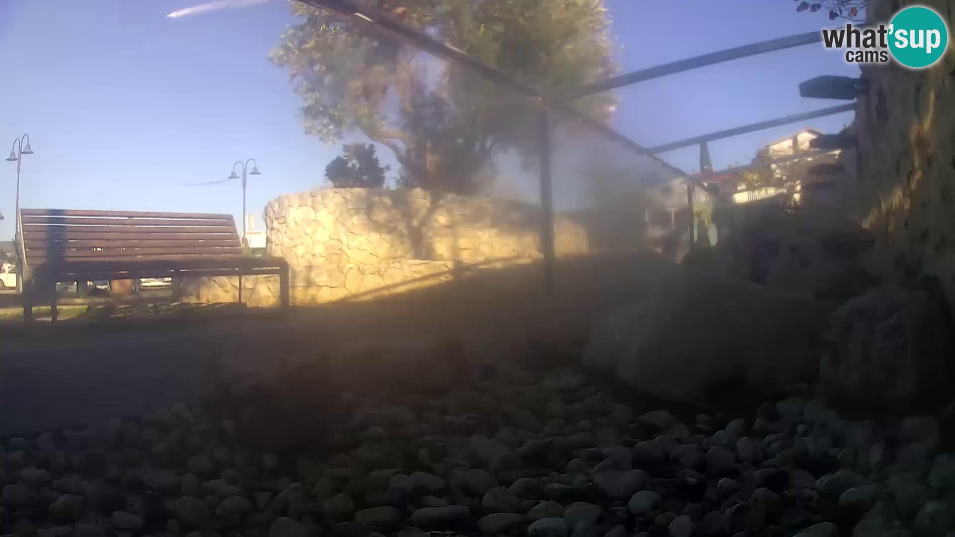 Acuario marino al aire libre Rogoznica webcam Croacia