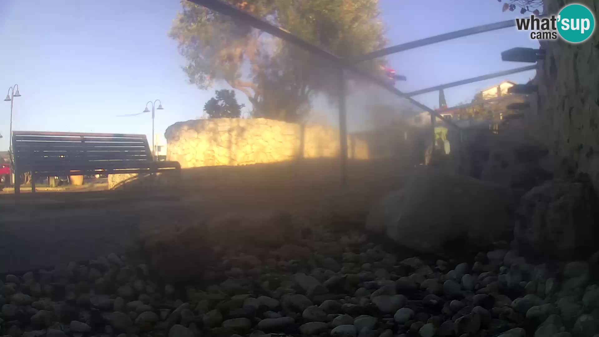 Vanjski morski akvarij Rogoznica web kamera Hrvatska