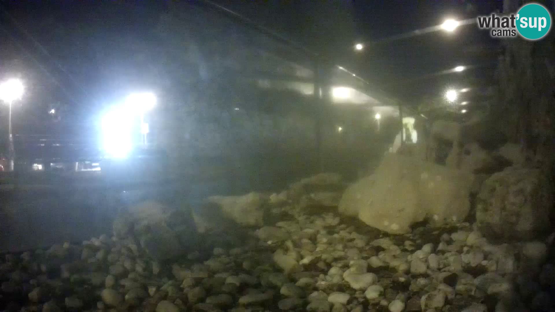 Zunanji morski akvarij Rogoznica spletna kamera Hrvaška