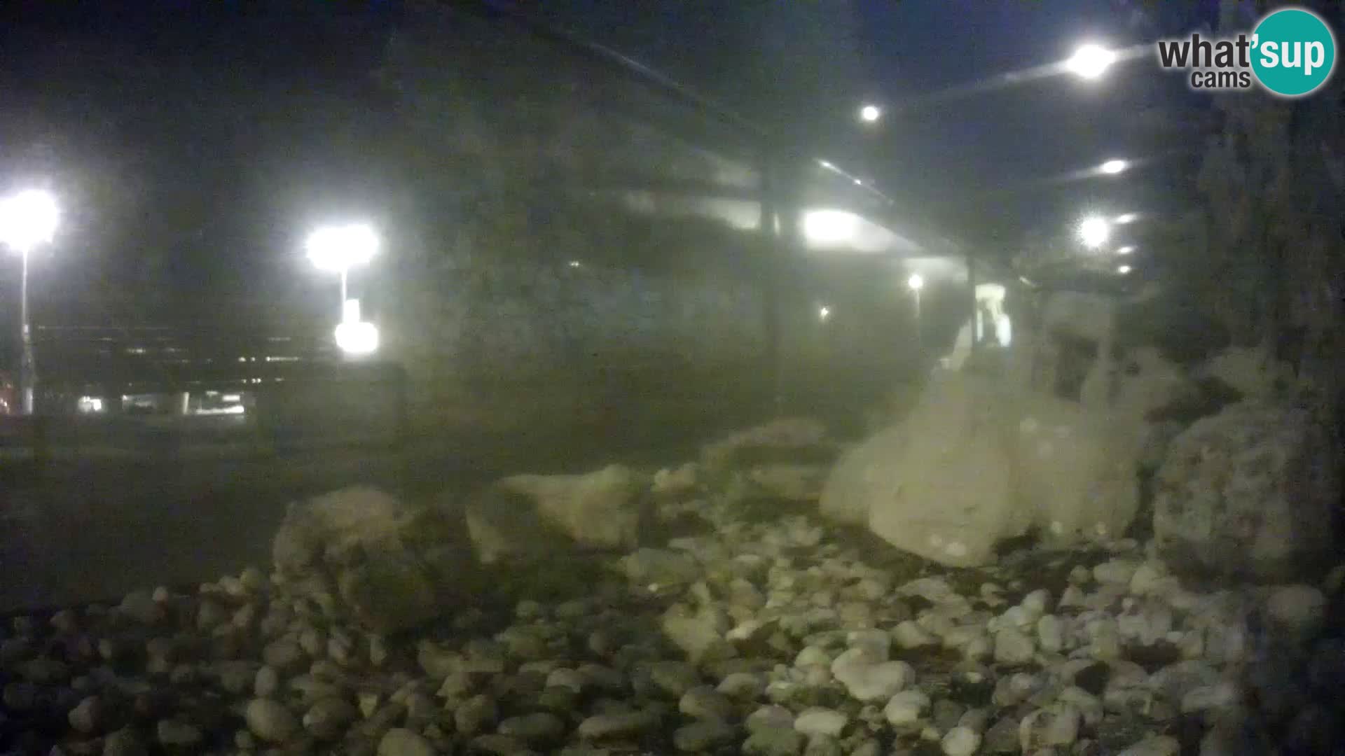 Aquario marino esterno –  Rogoznica livecam Croazia