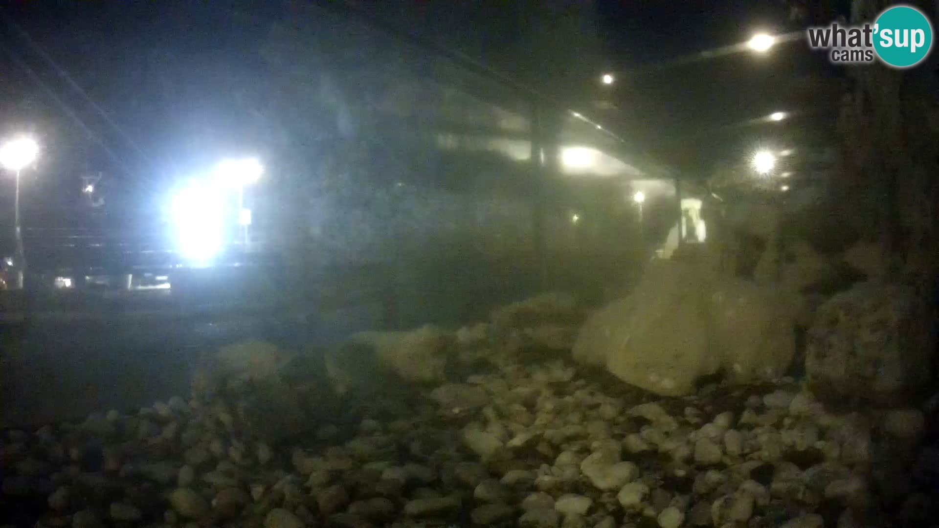 Zunanji morski akvarij Rogoznica spletna kamera Hrvaška