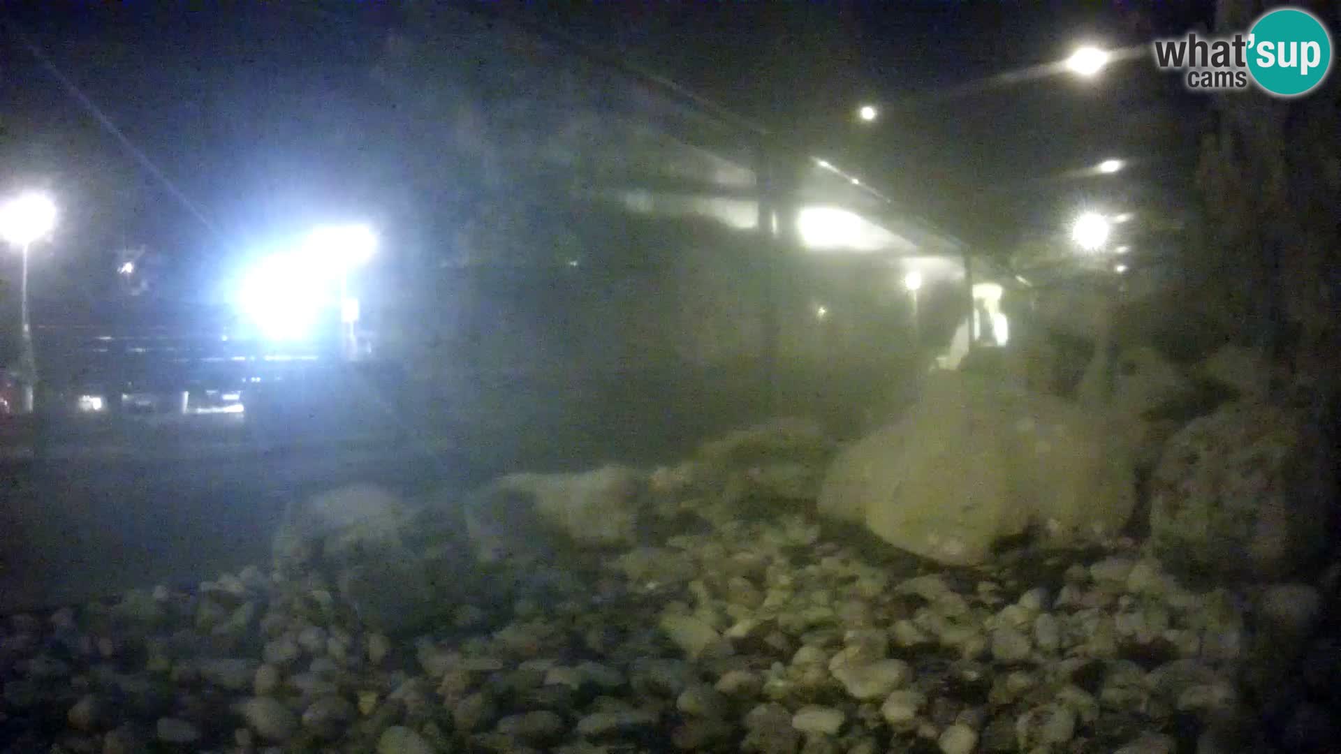 Acuario marino al aire libre Rogoznica webcam Croacia