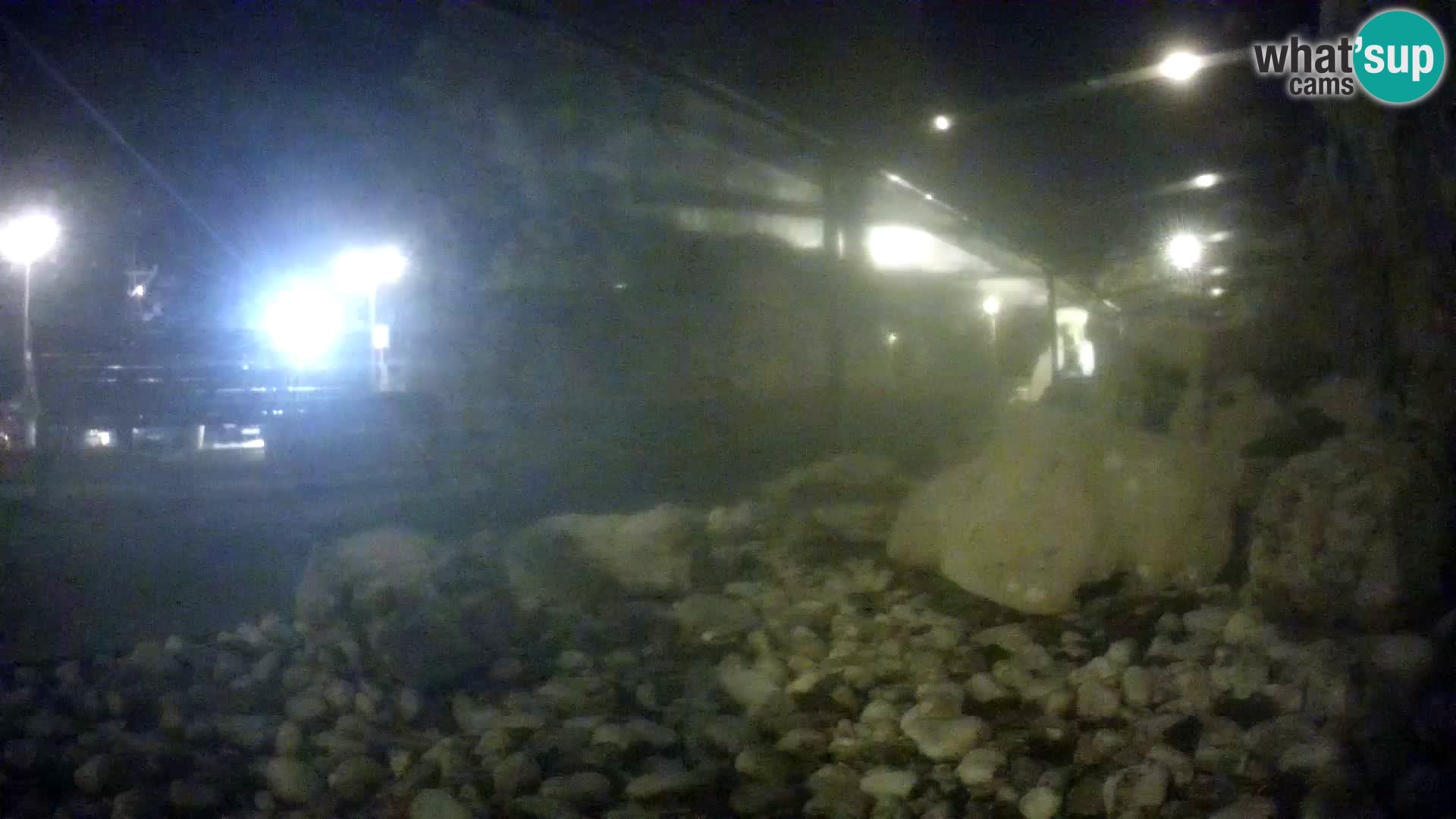 Acuario marino al aire libre Rogoznica webcam Croacia