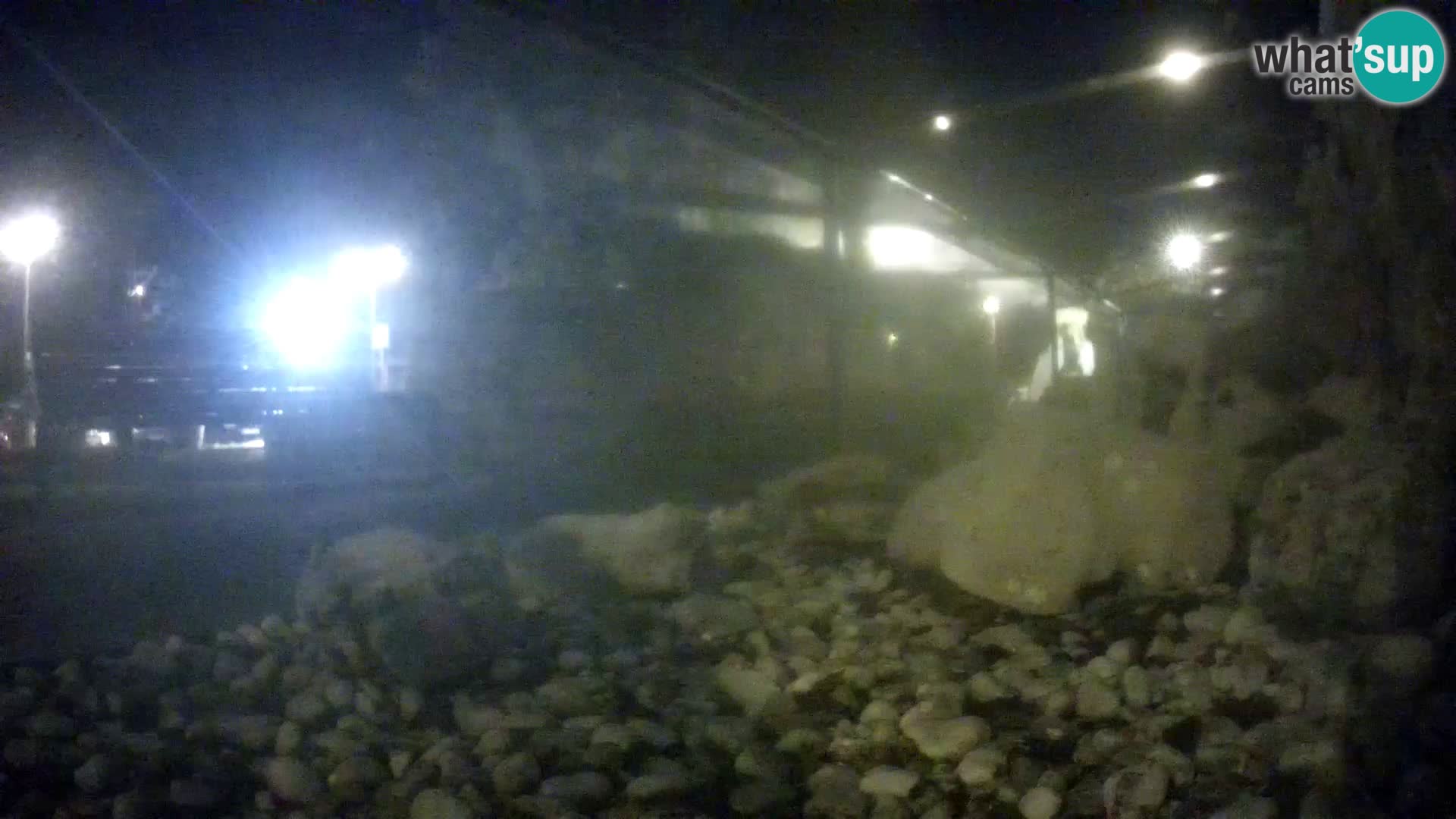 Acuario marino al aire libre Rogoznica webcam Croacia