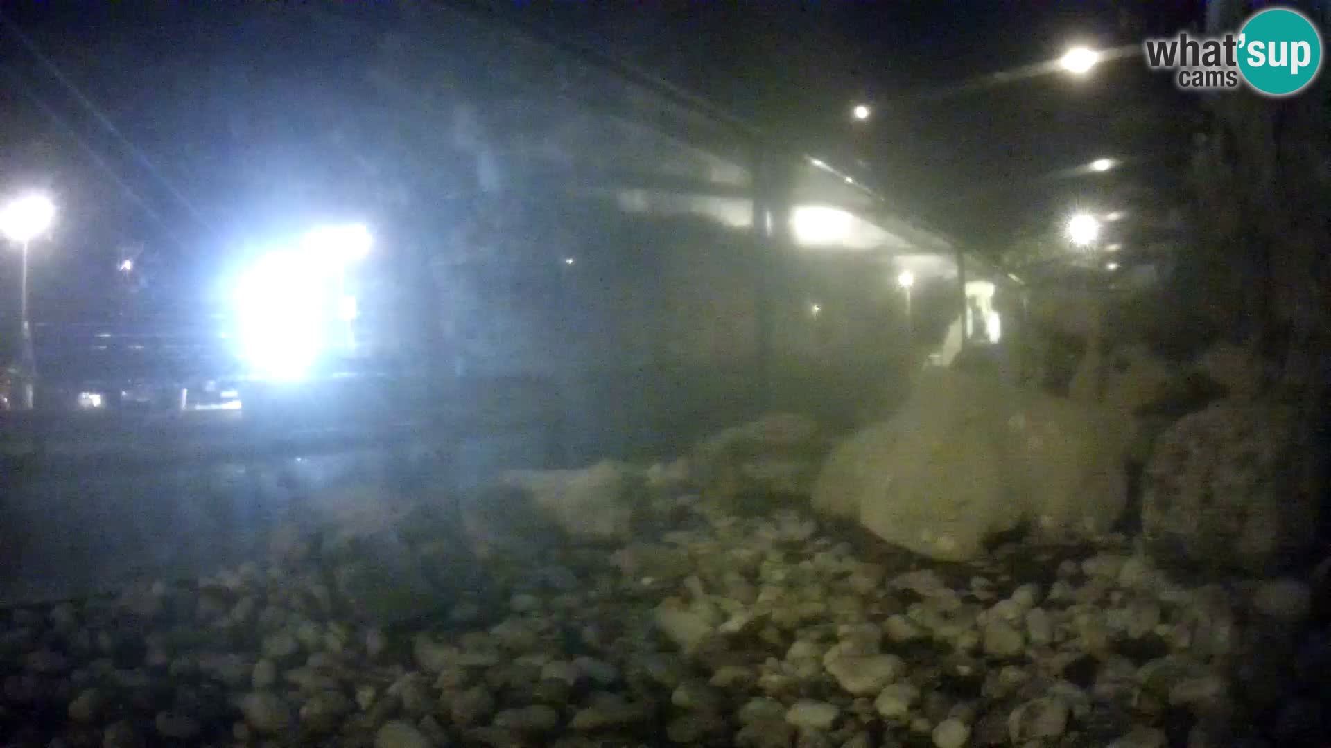 Vanjski morski akvarij Rogoznica web kamera Hrvatska