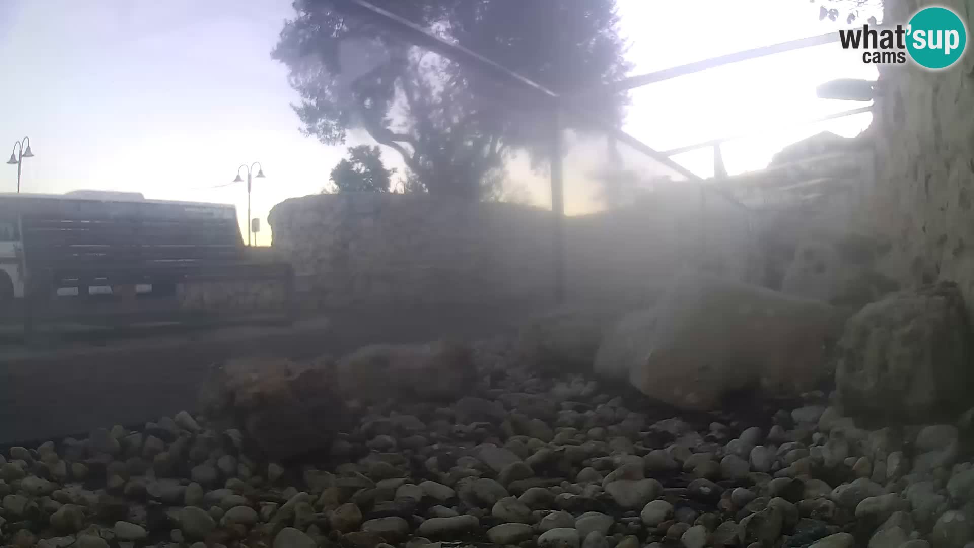 Vanjski morski akvarij Rogoznica web kamera Hrvatska