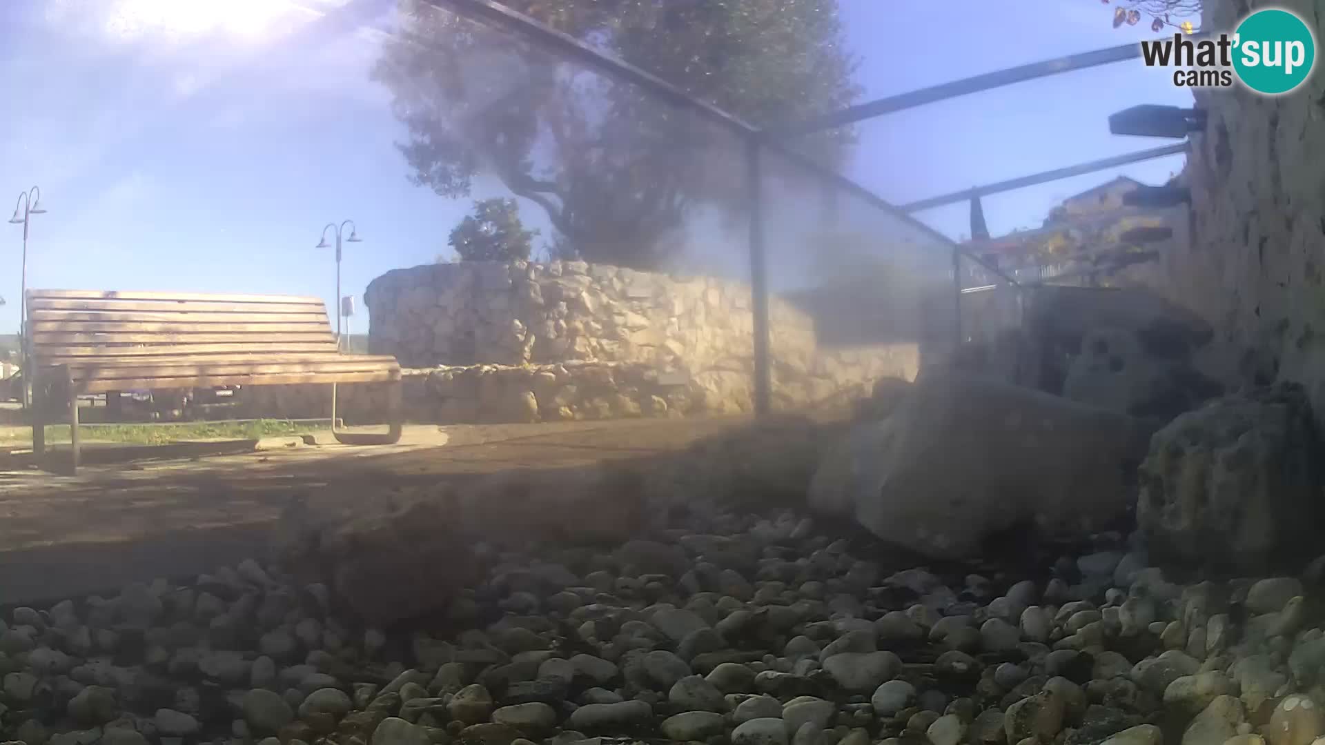 Vanjski morski akvarij Rogoznica web kamera Hrvatska