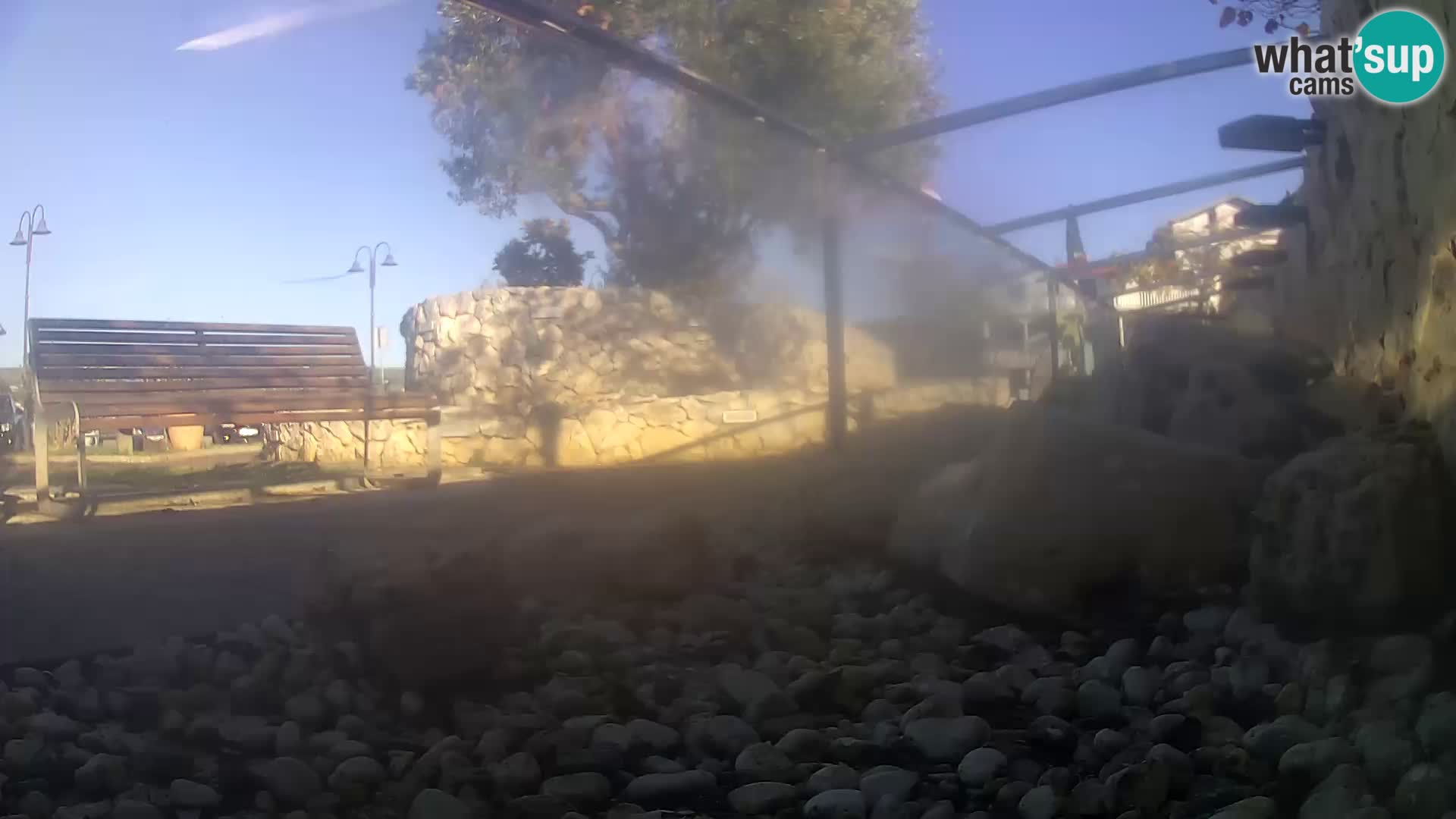 Vanjski morski akvarij Rogoznica web kamera Hrvatska