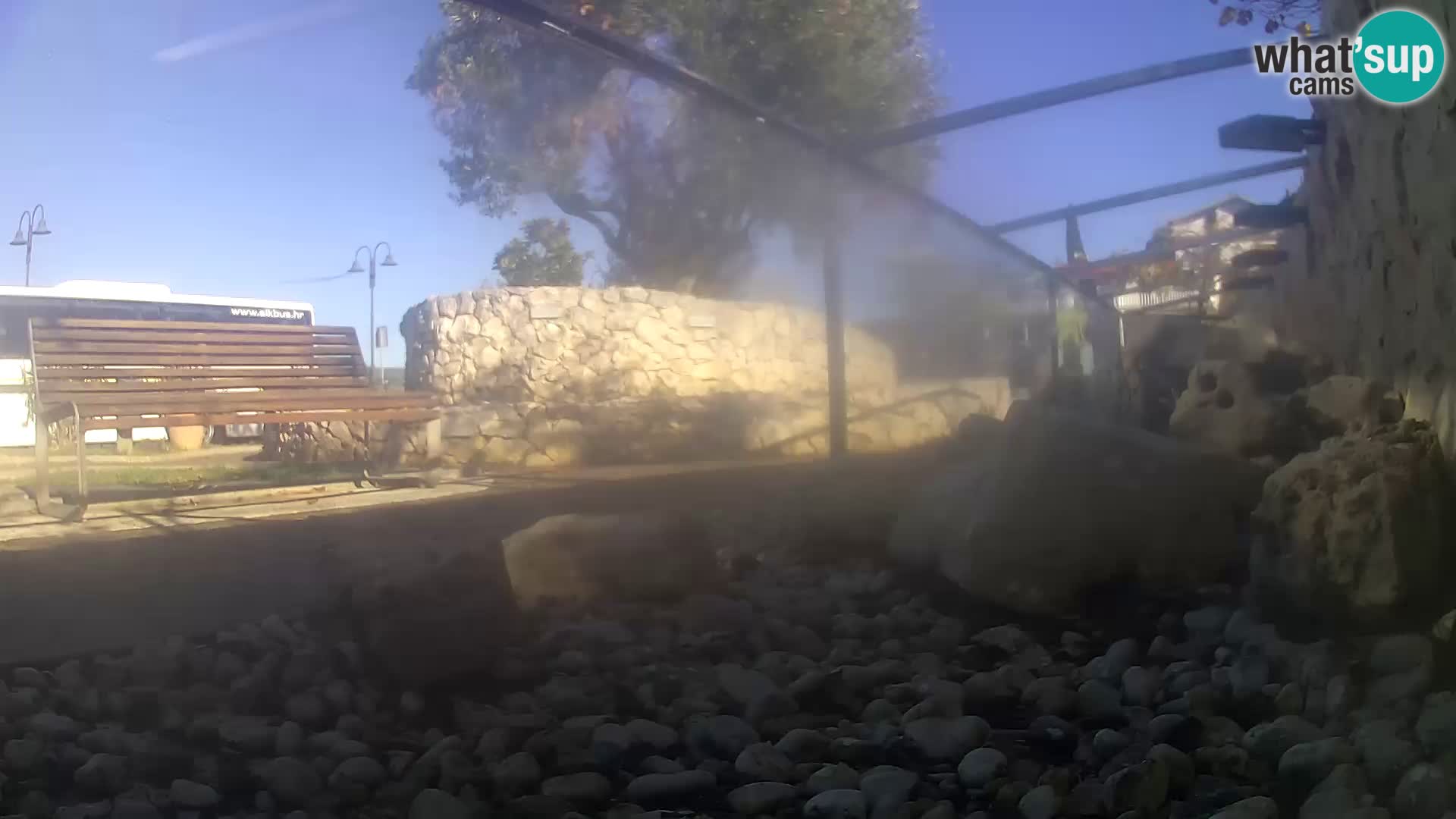 Outdoor Marine Aquarium Rogoznica webcam Croatia