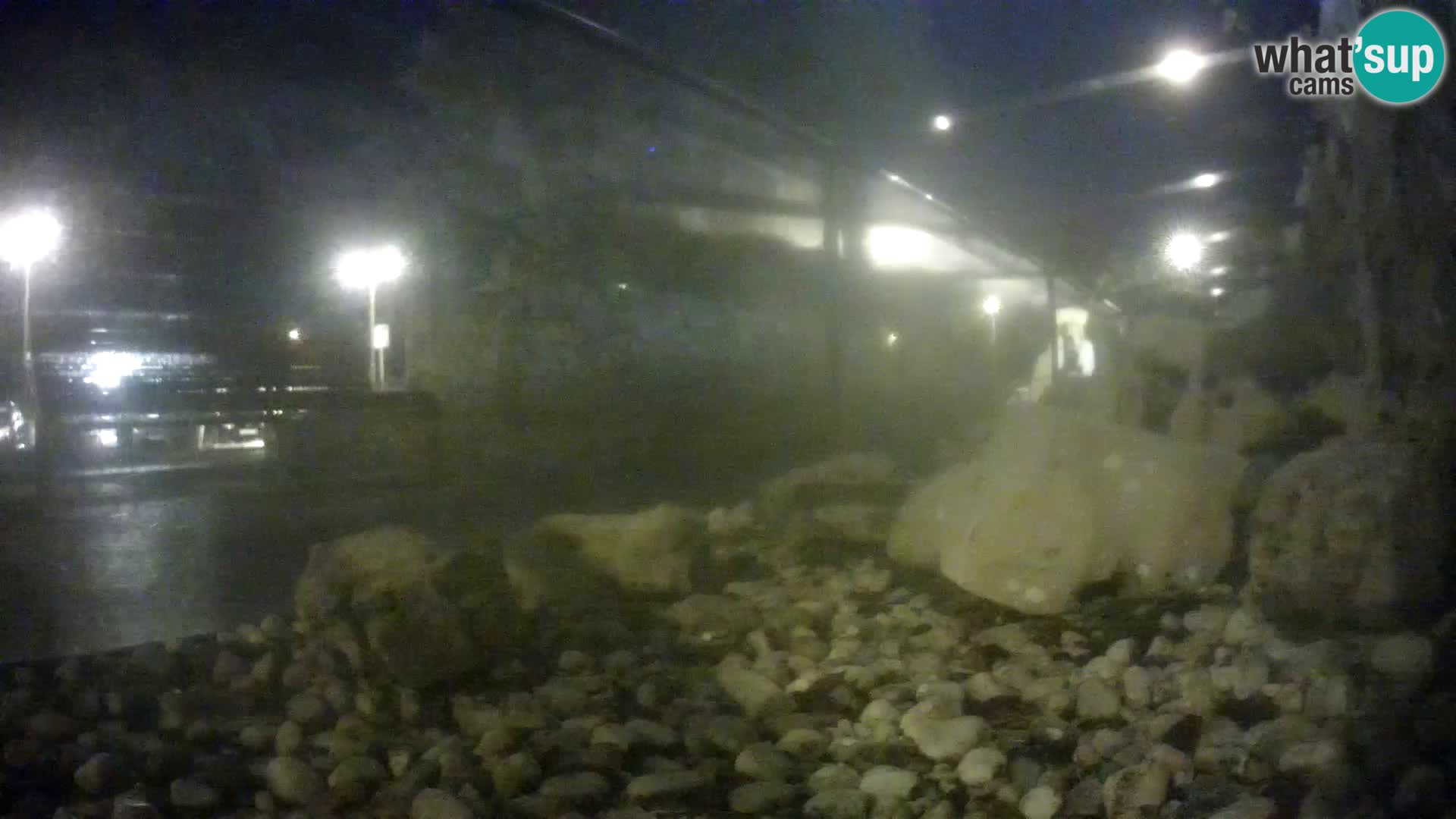Aquario marino esterno –  Rogoznica livecam Croazia