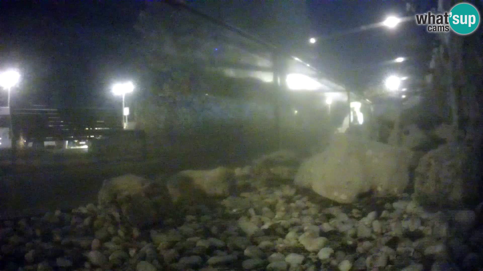 Vanjski morski akvarij Rogoznica web kamera Hrvatska