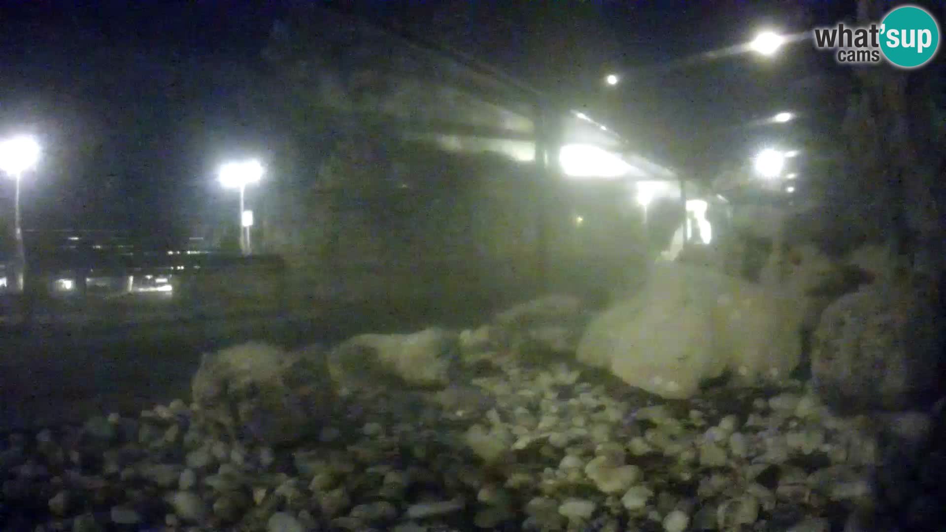 Aquario marino esterno –  Rogoznica livecam Croazia