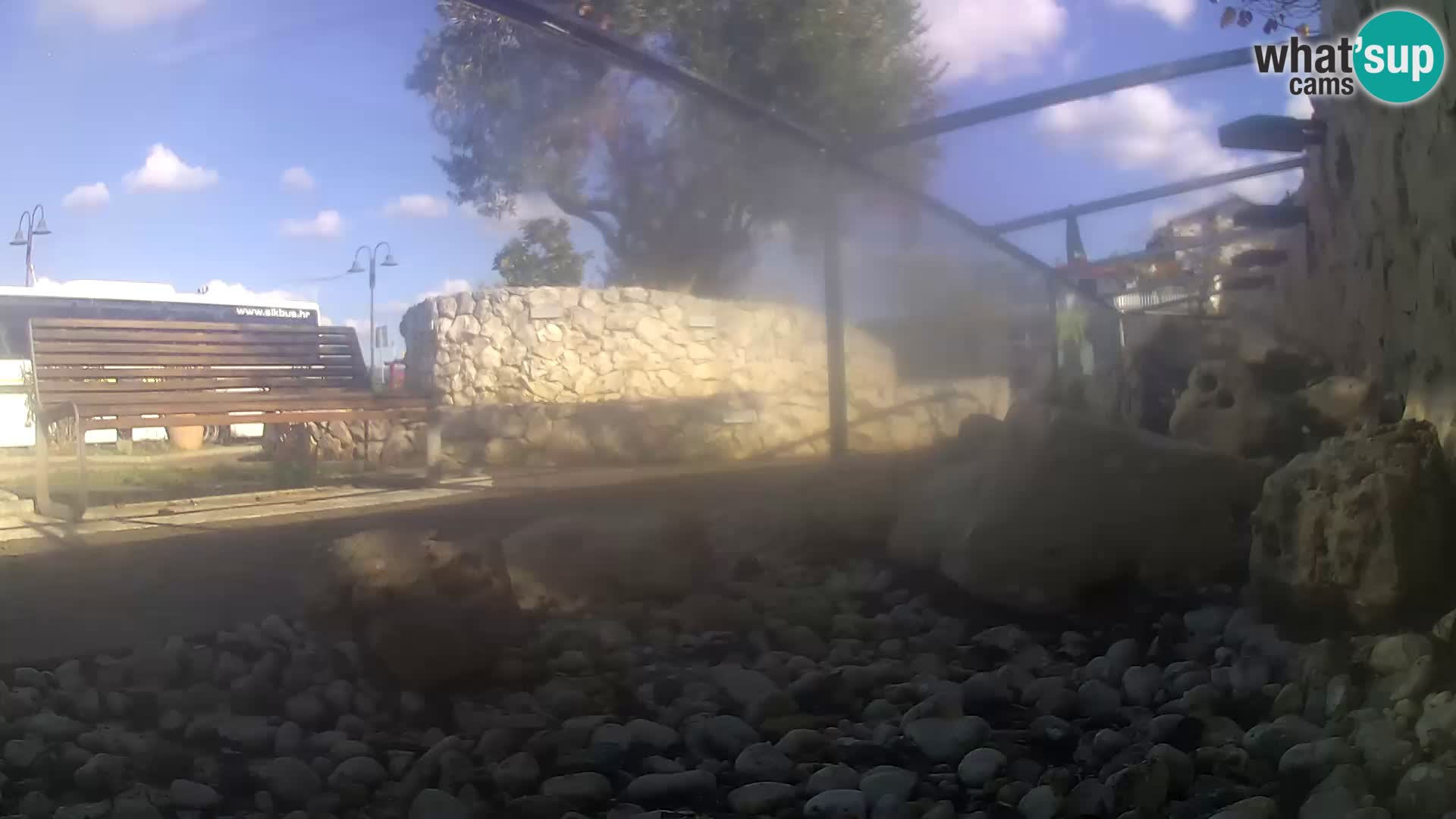 Zunanji morski akvarij Rogoznica spletna kamera Hrvaška