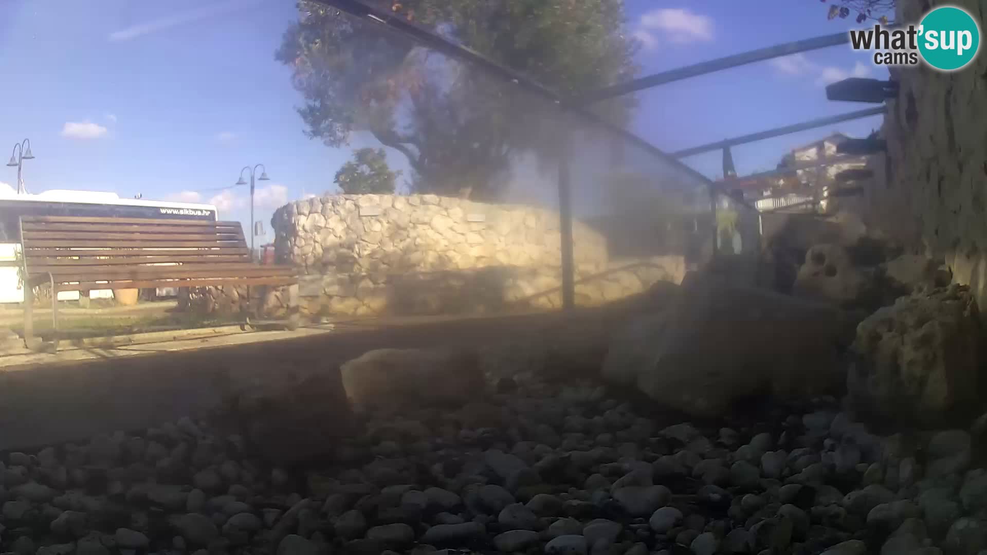 Zunanji morski akvarij Rogoznica spletna kamera Hrvaška