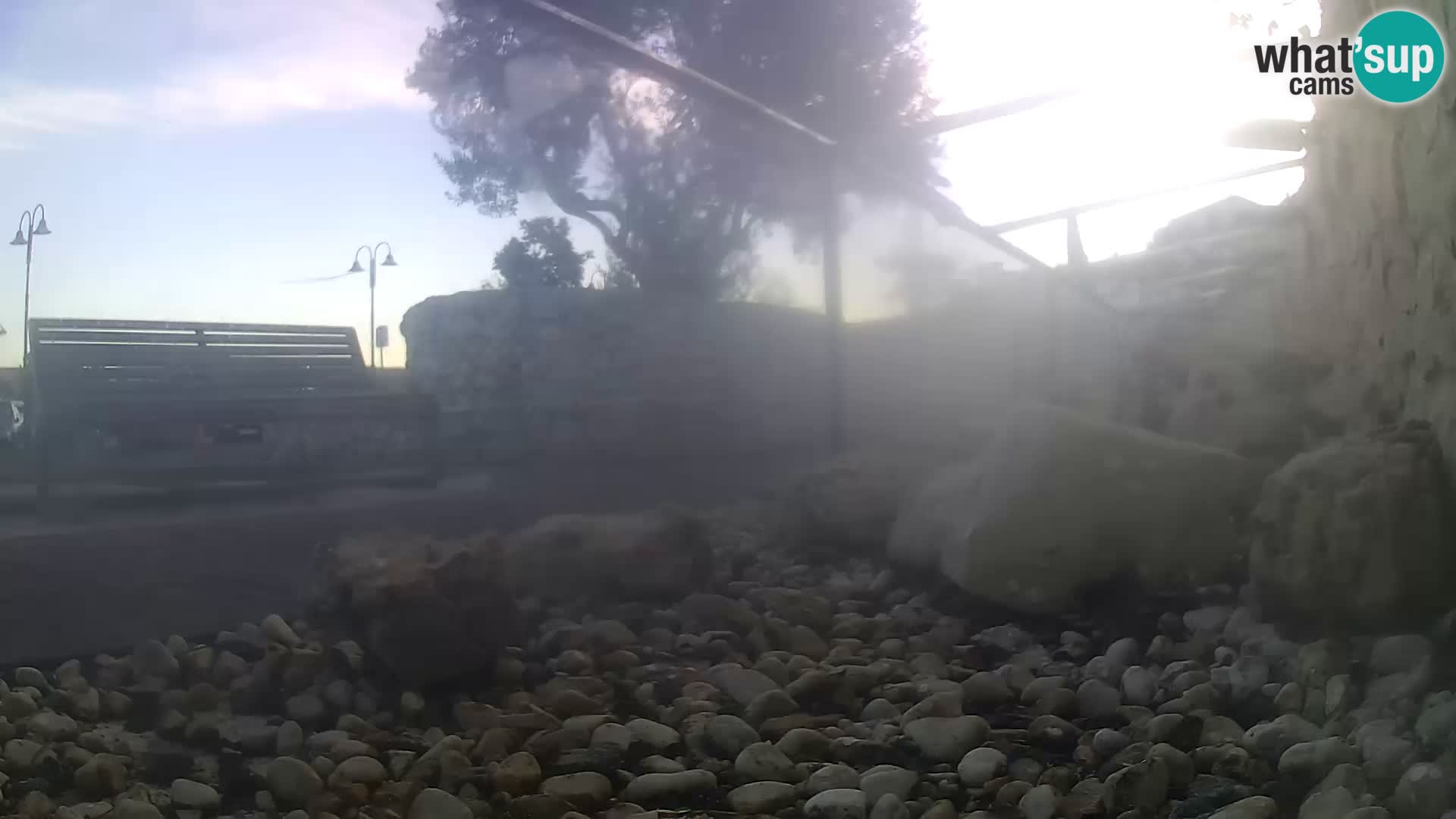 Zunanji morski akvarij Rogoznica spletna kamera Hrvaška