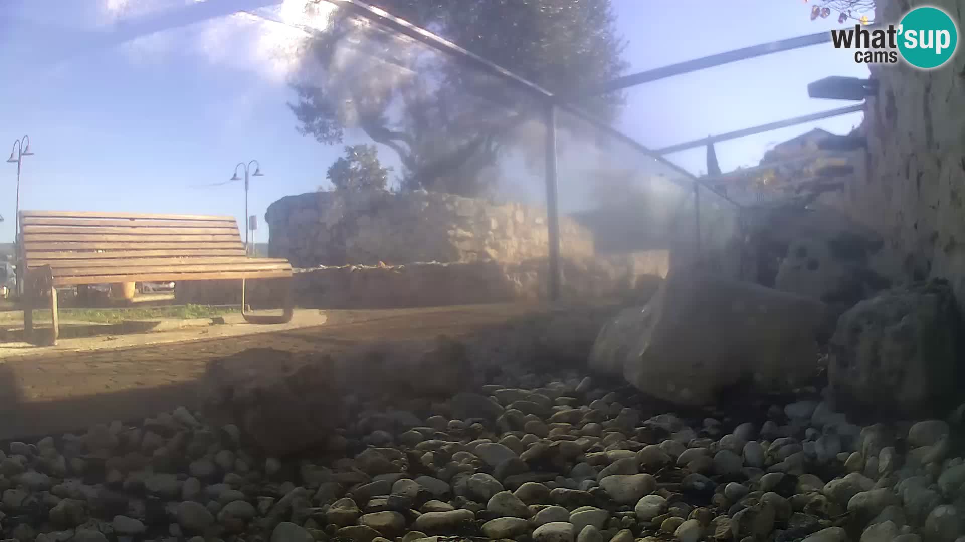 Aquario marino esterno –  Rogoznica livecam Croazia