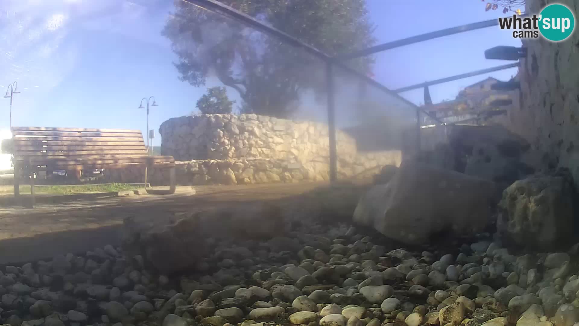 Acuario marino al aire libre Rogoznica webcam Croacia