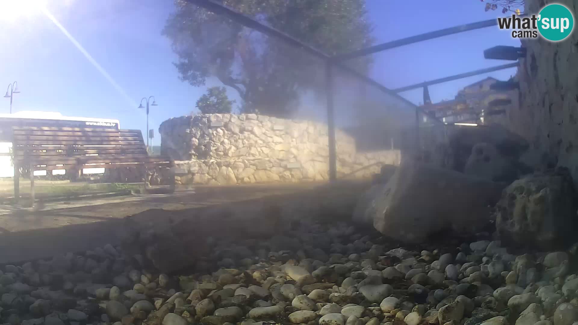 Vanjski morski akvarij Rogoznica web kamera Hrvatska