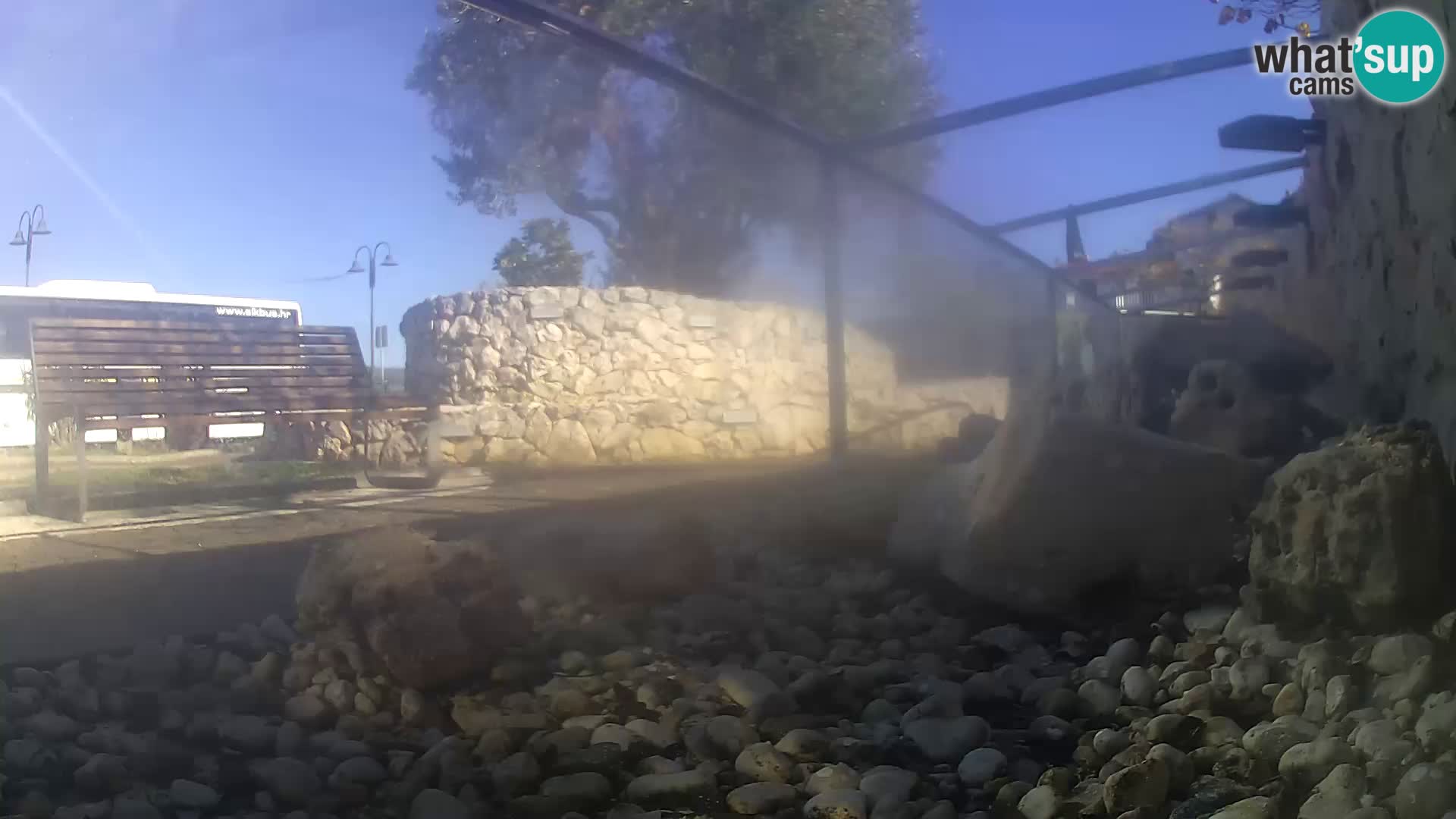 Acuario marino al aire libre Rogoznica webcam Croacia