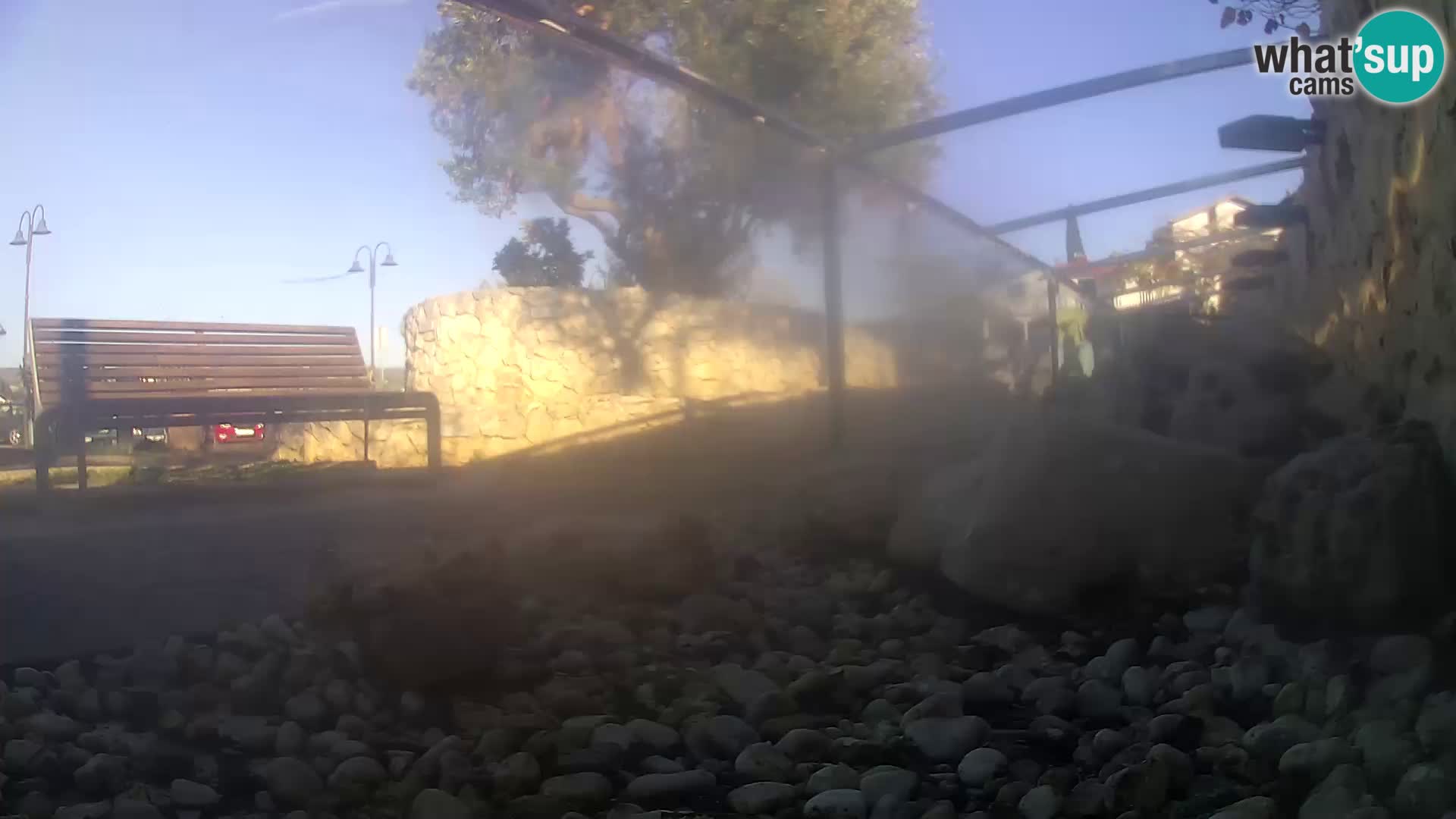 Aquario marino esterno –  Rogoznica livecam Croazia