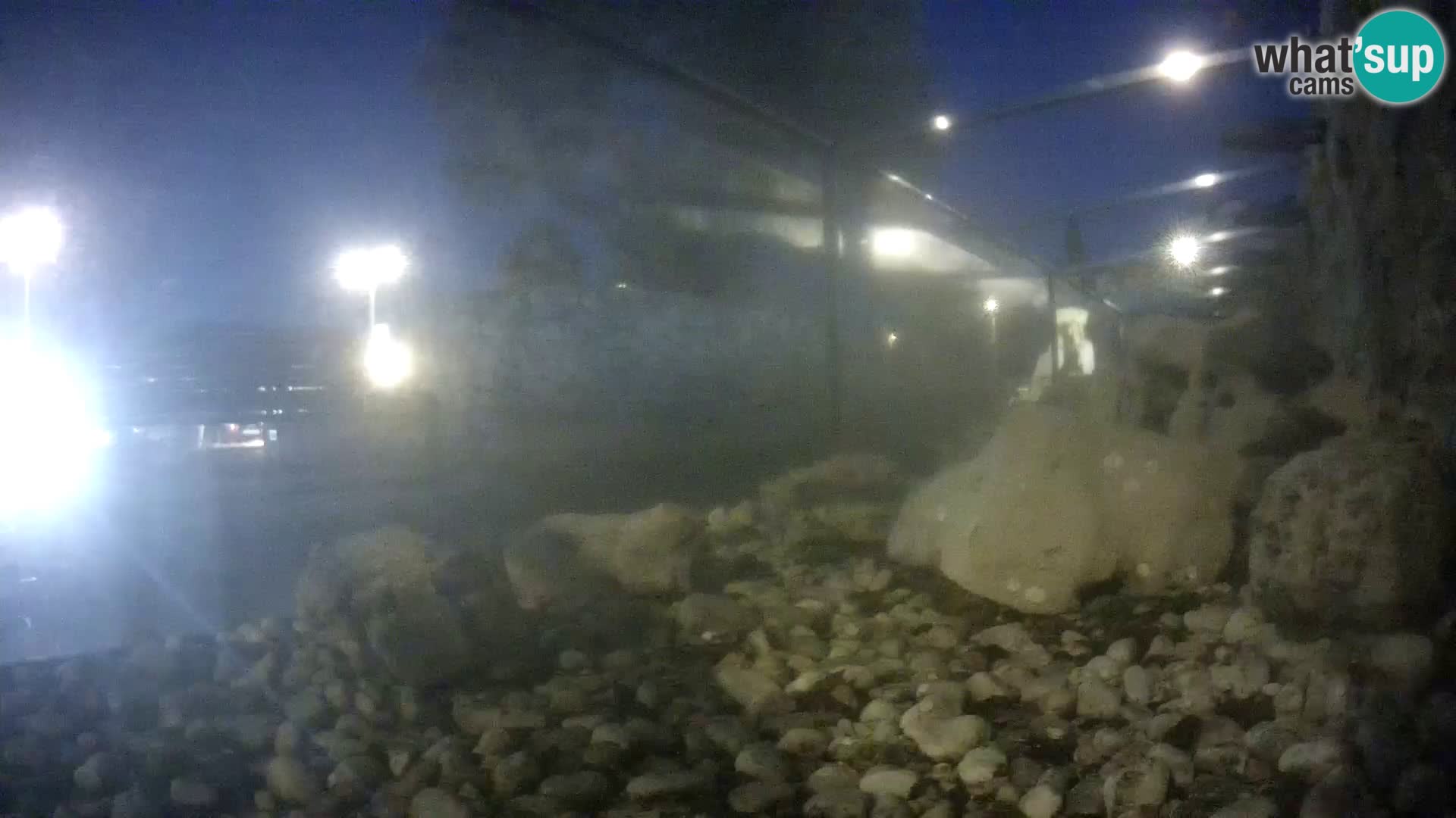 Aquario marino esterno –  Rogoznica livecam Croazia