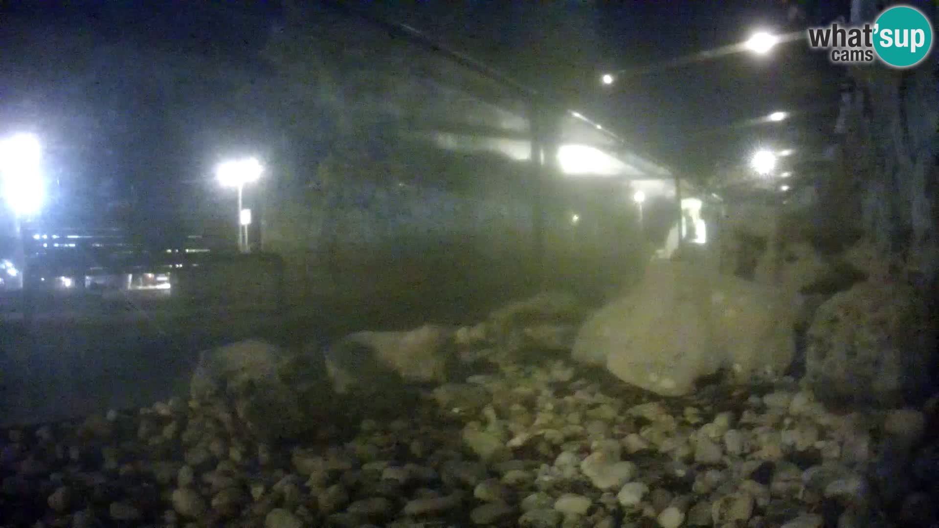 Outdoor Marine Aquarium Rogoznica webcam Croatia