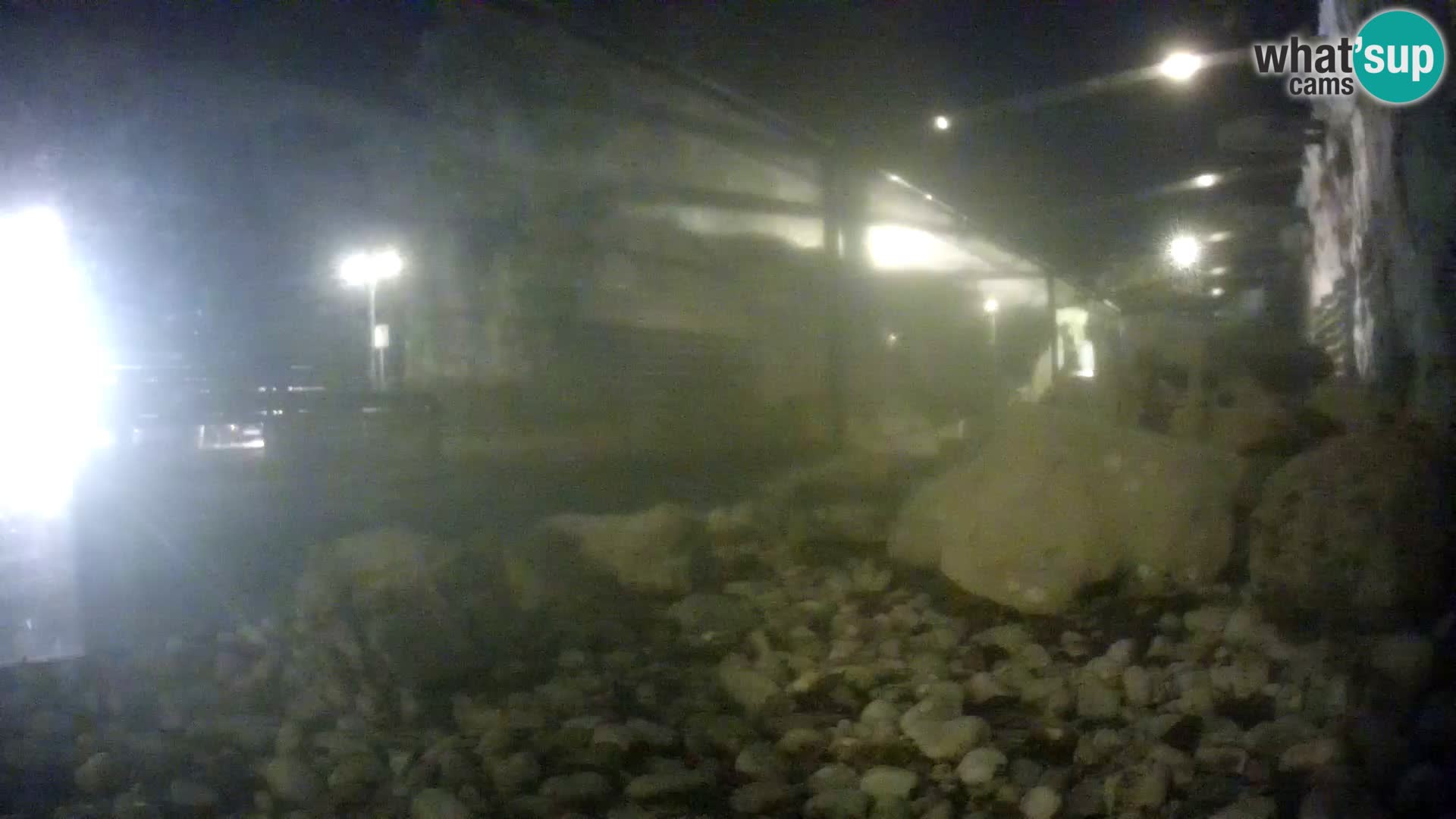 Vanjski morski akvarij Rogoznica web kamera Hrvatska