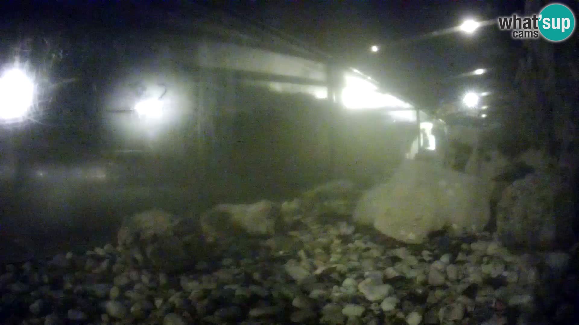 Vanjski morski akvarij Rogoznica web kamera Hrvatska