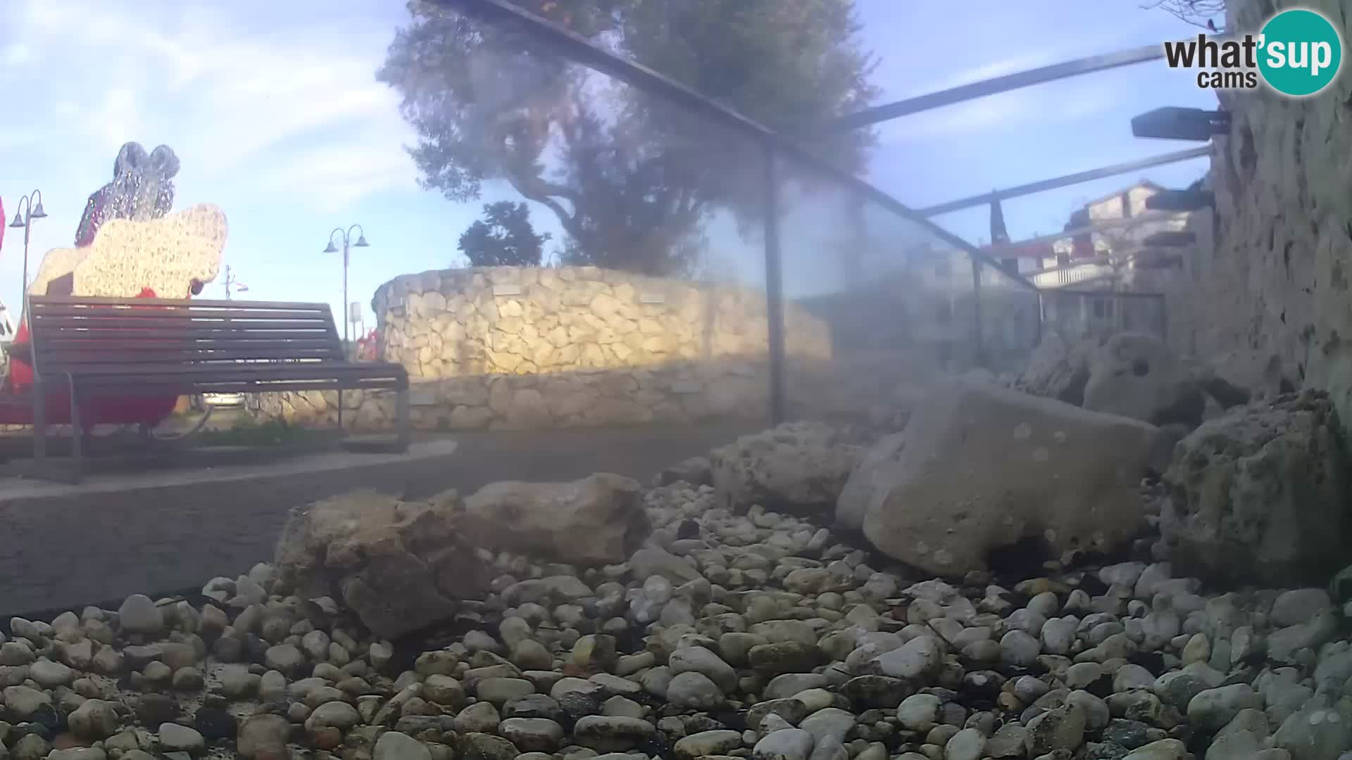 Acuario marino al aire libre Rogoznica webcam Croacia