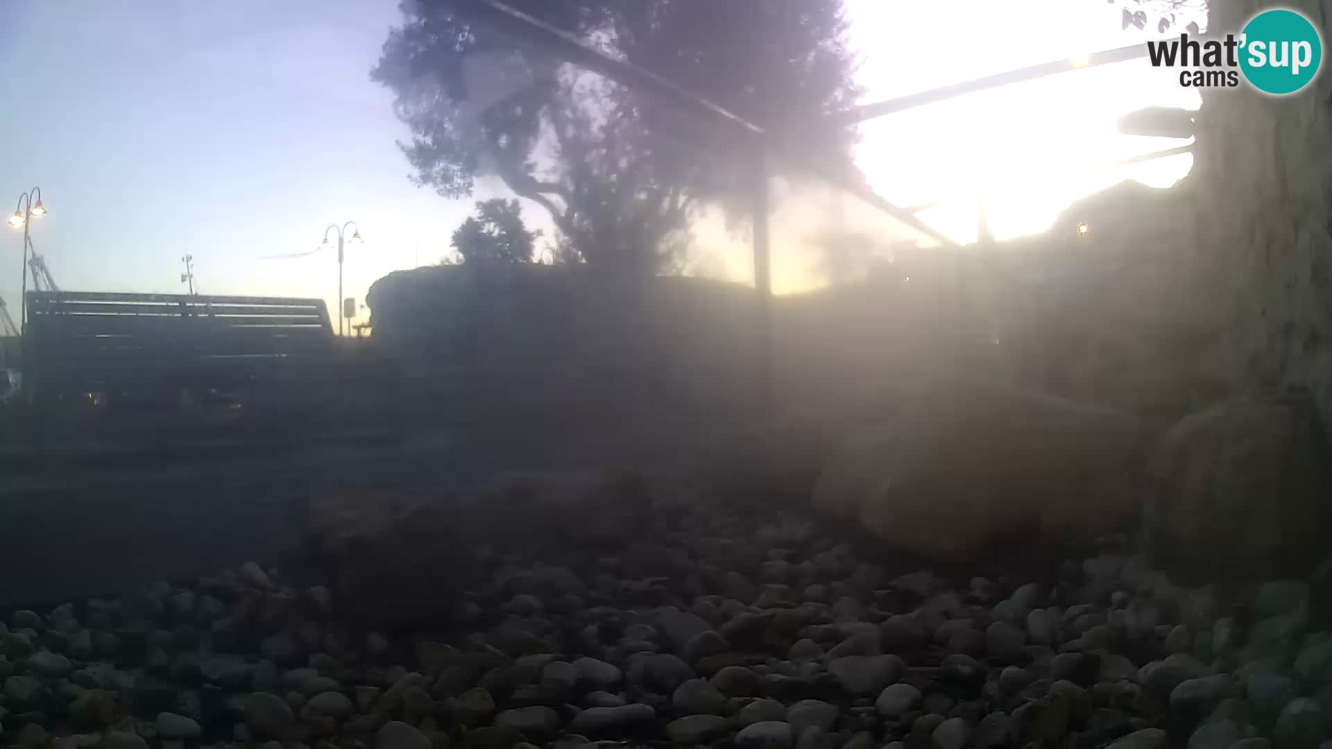 Zunanji morski akvarij Rogoznica spletna kamera Hrvaška