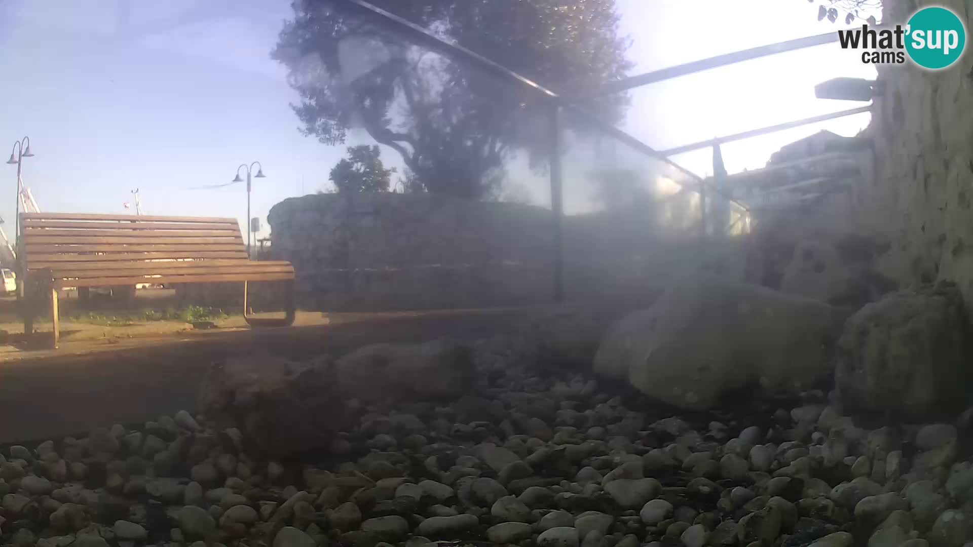 Webcam de l’aquarium marin extérieur de Rogoznica Croatie