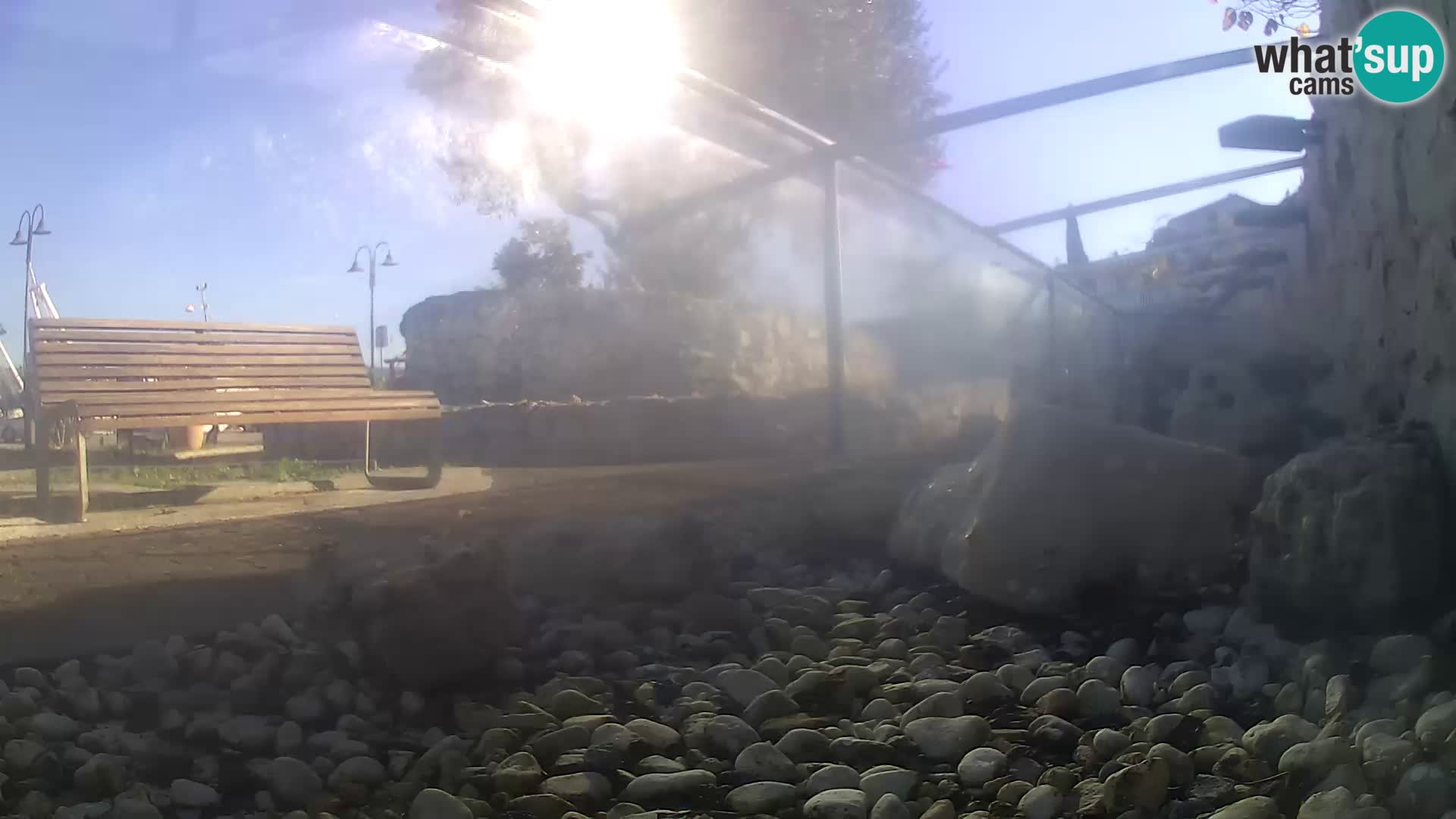 Zunanji morski akvarij Rogoznica spletna kamera Hrvaška