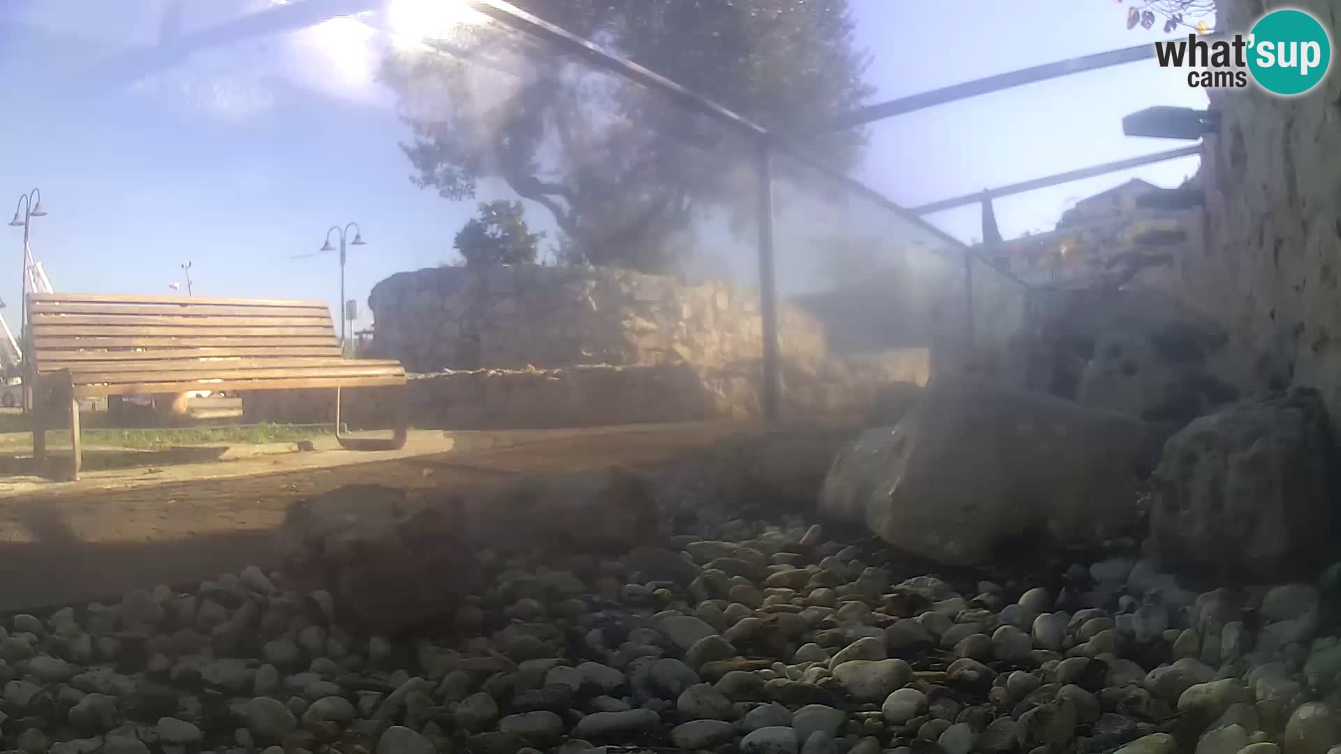 Outdoor Marine Aquarium Rogoznica webcam Croatia