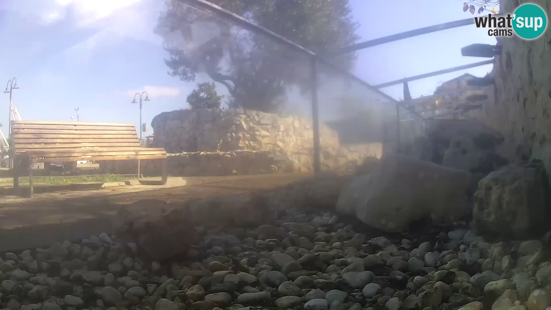 Outdoor Marine Aquarium Rogoznica webcam Croatia