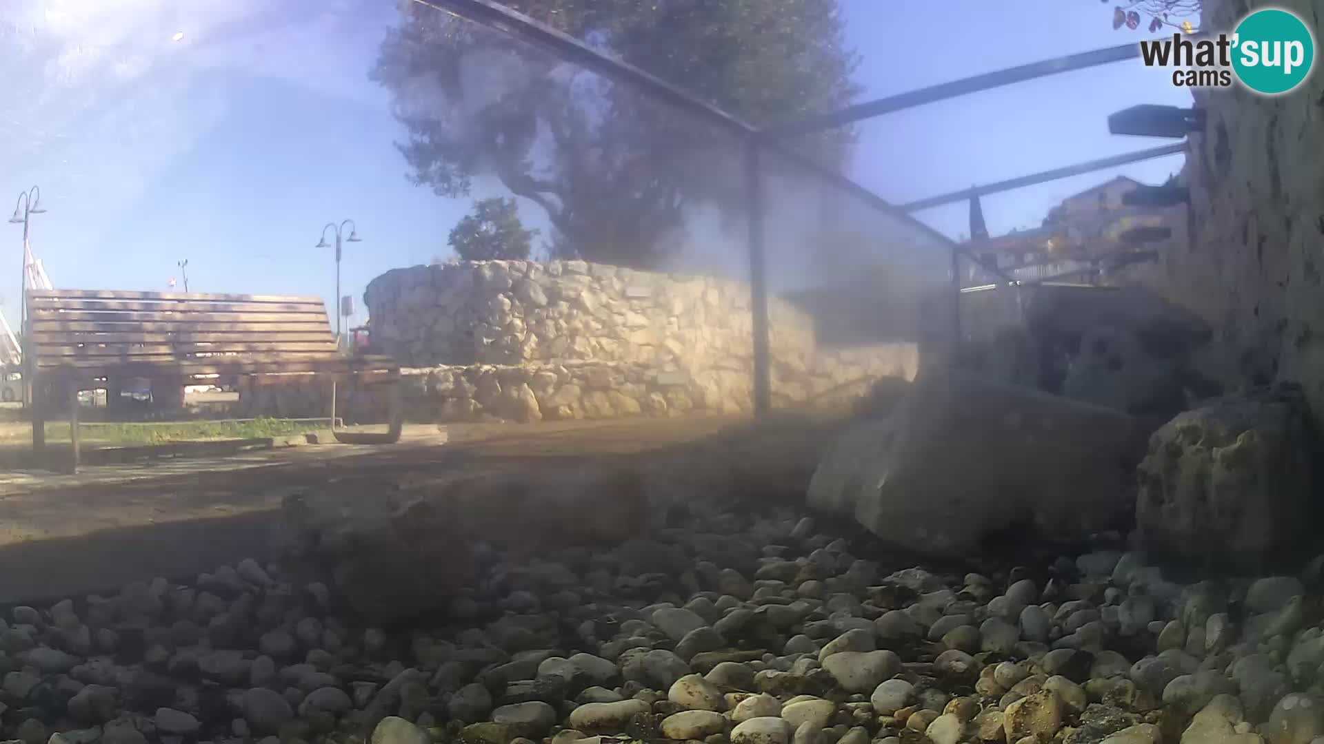 Acuario marino al aire libre Rogoznica webcam Croacia