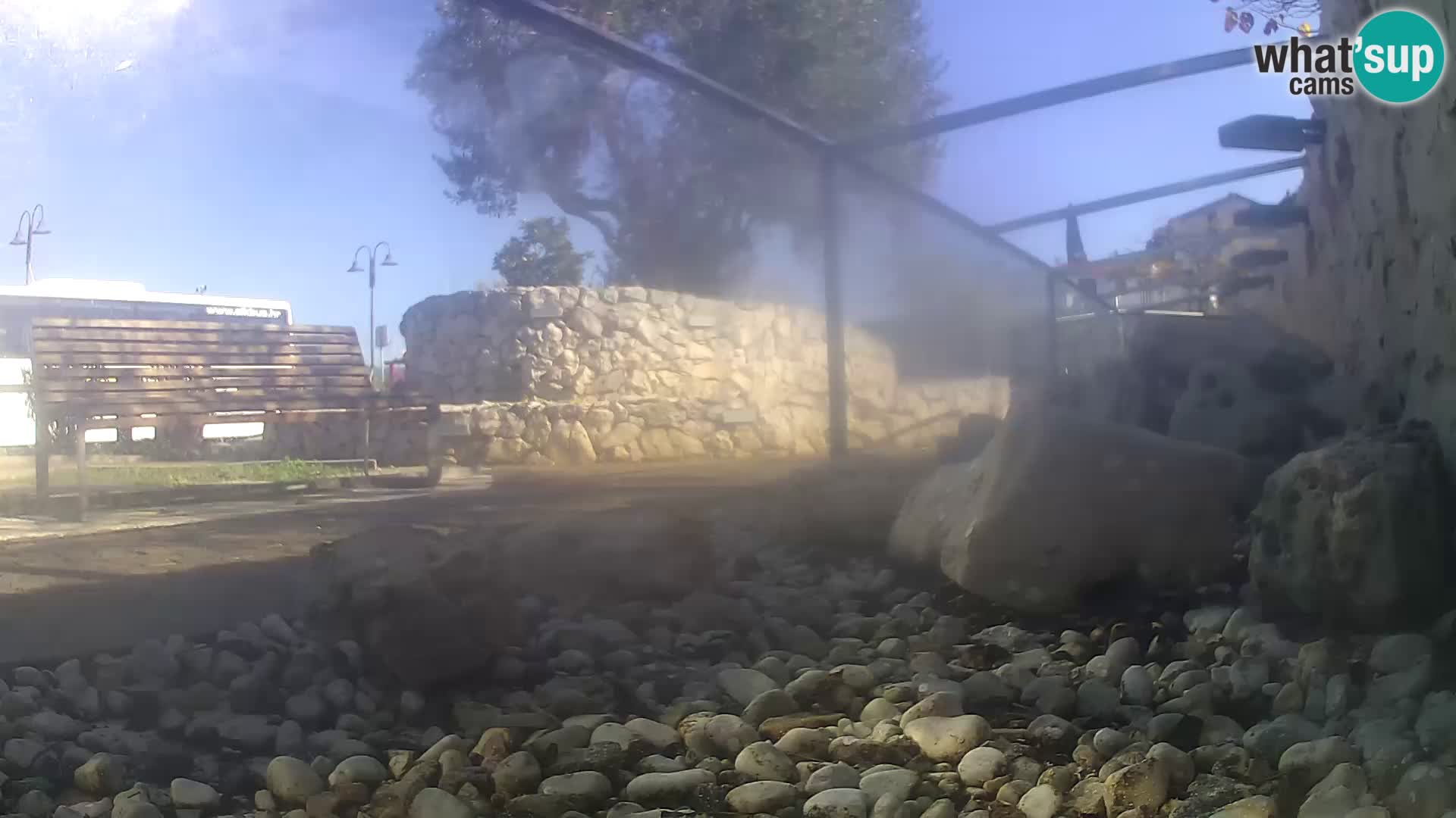 Zunanji morski akvarij Rogoznica spletna kamera Hrvaška