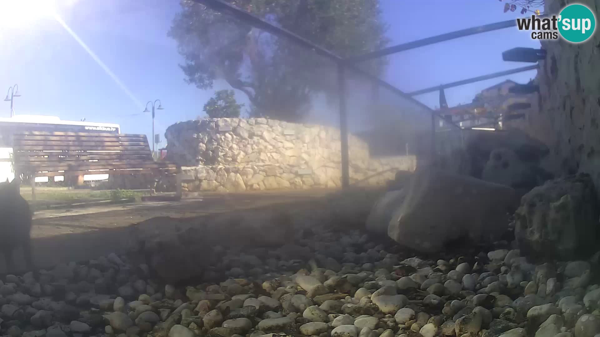 Marine Aquarium im Freien Rogoznica webcam Kroatien