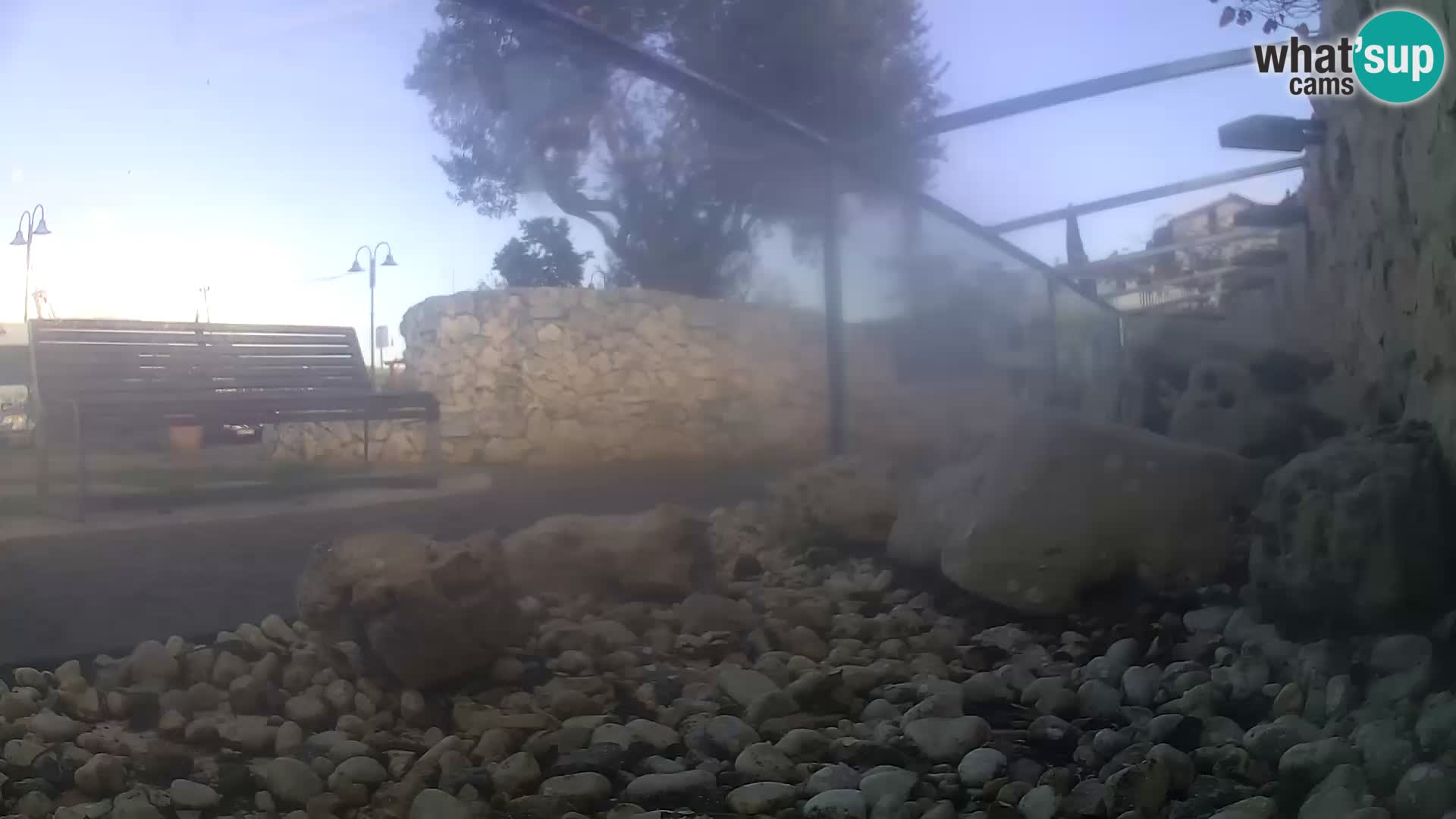 Webcam de l’aquarium marin extérieur de Rogoznica Croatie