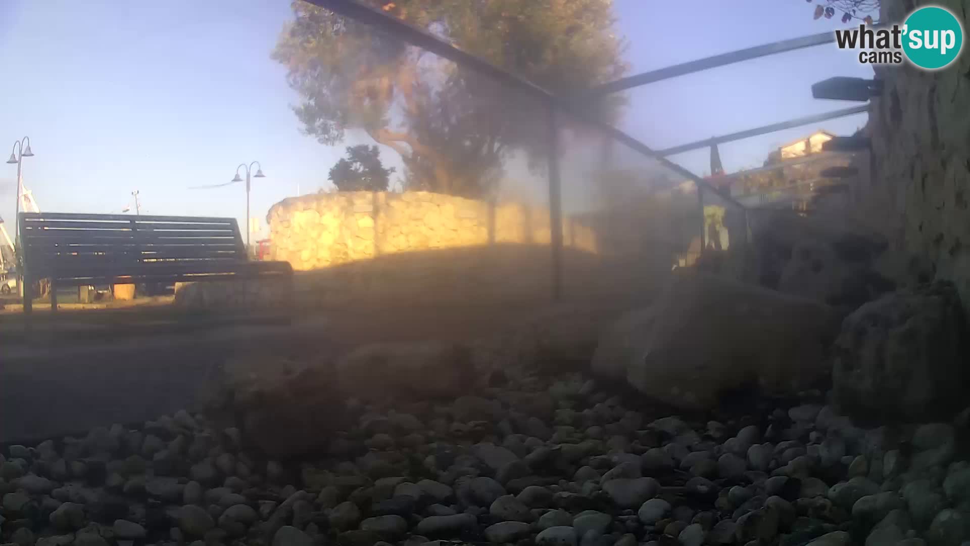 Acuario marino al aire libre Rogoznica webcam Croacia