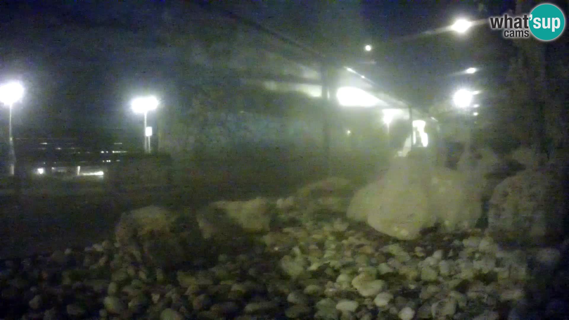 Outdoor Marine Aquarium Rogoznica webcam Croatia