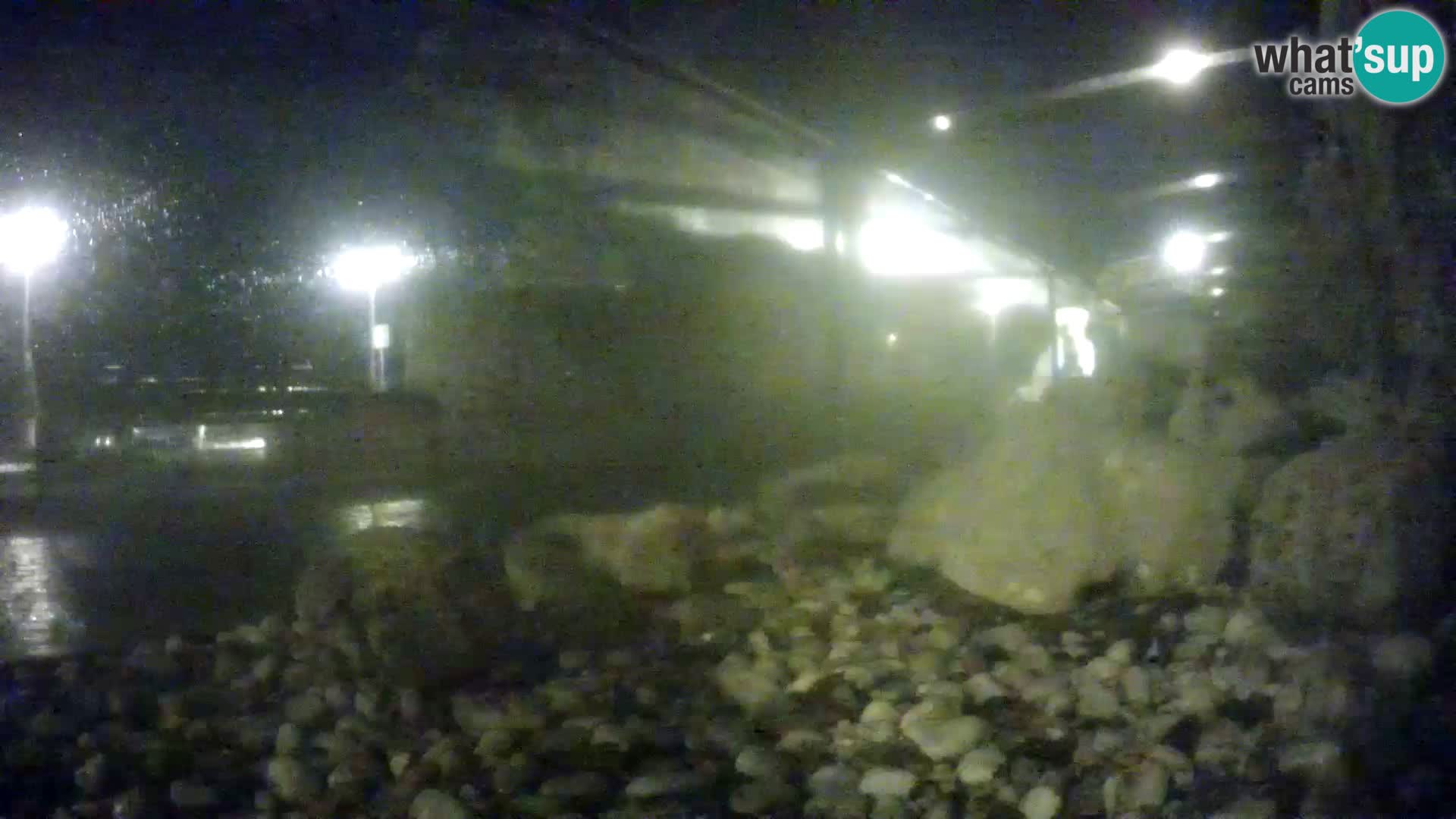 Zunanji morski akvarij Rogoznica spletna kamera Hrvaška