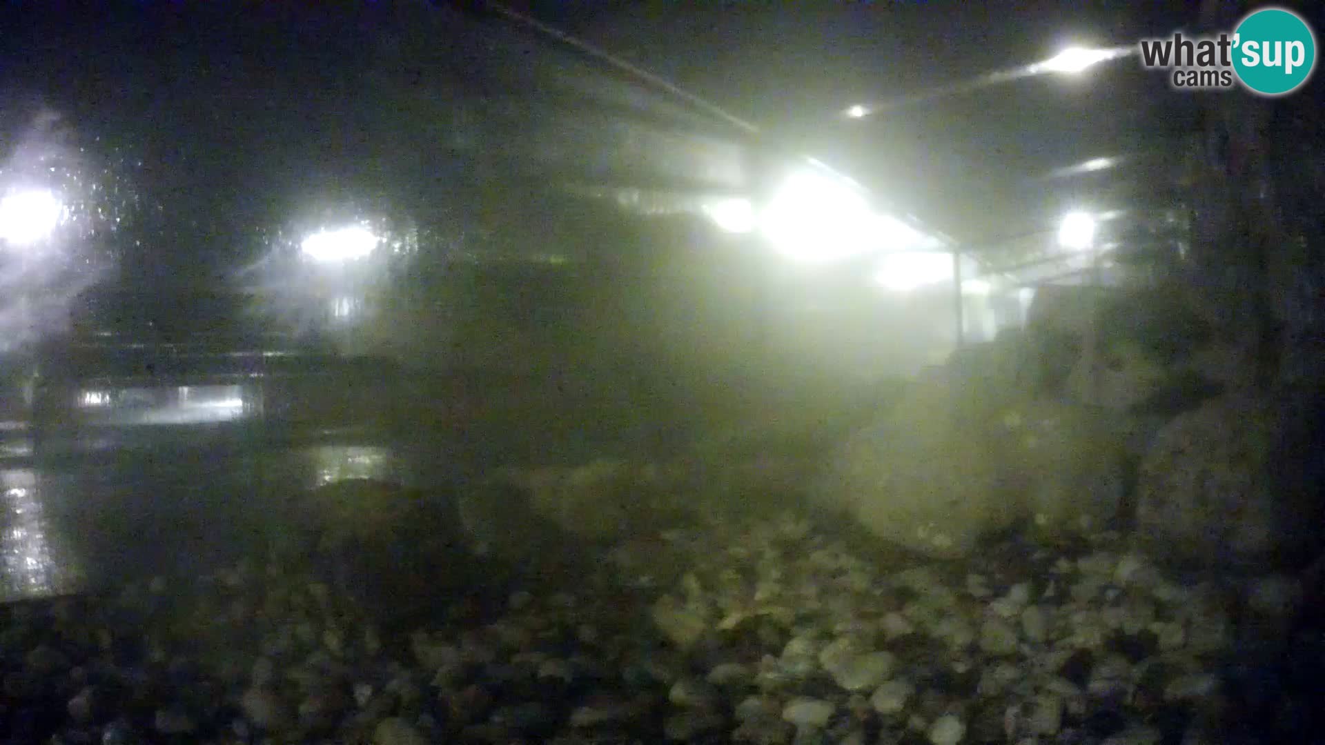 Outdoor Marine Aquarium Rogoznica webcam Croatia