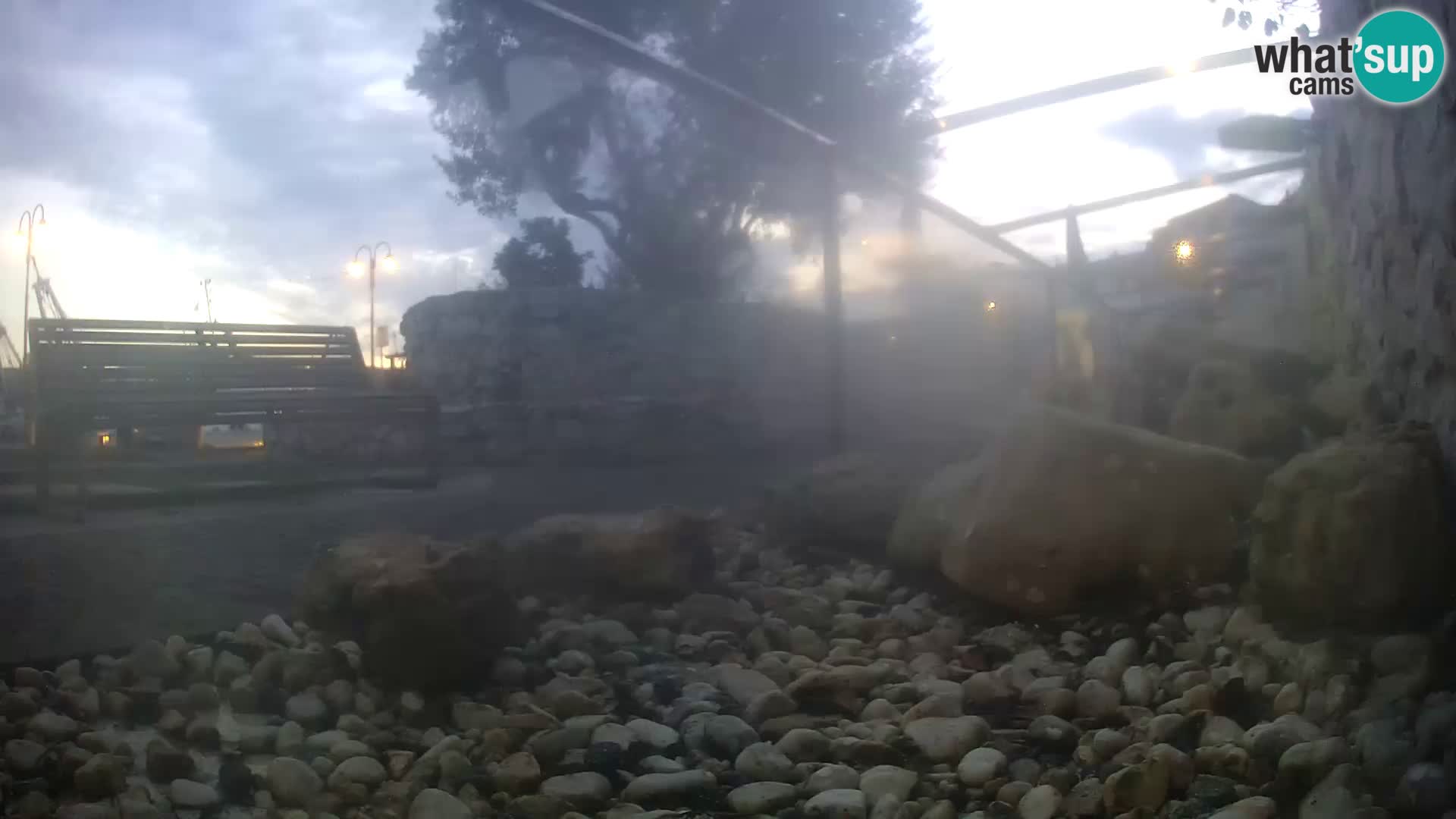 Aquario marino esterno –  Rogoznica livecam Croazia