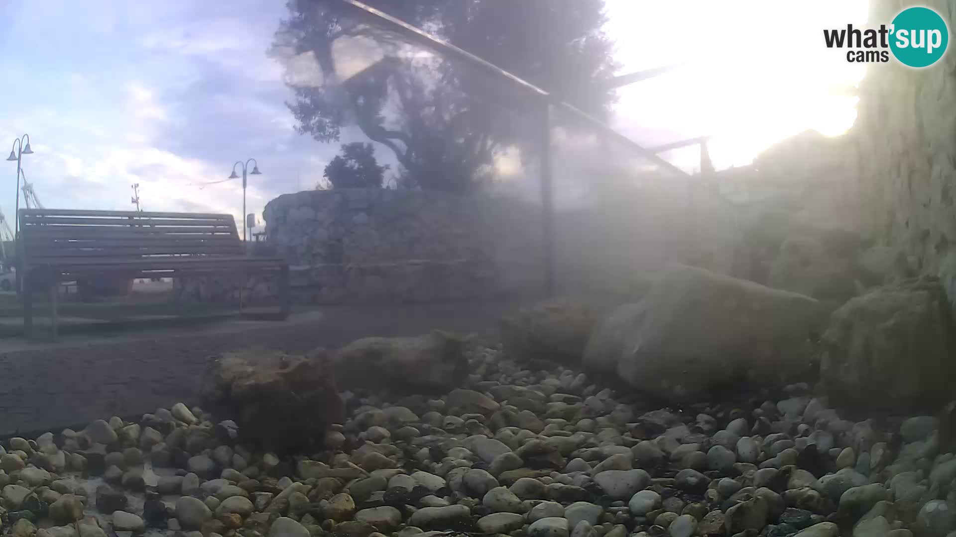 Acuario marino al aire libre Rogoznica webcam Croacia