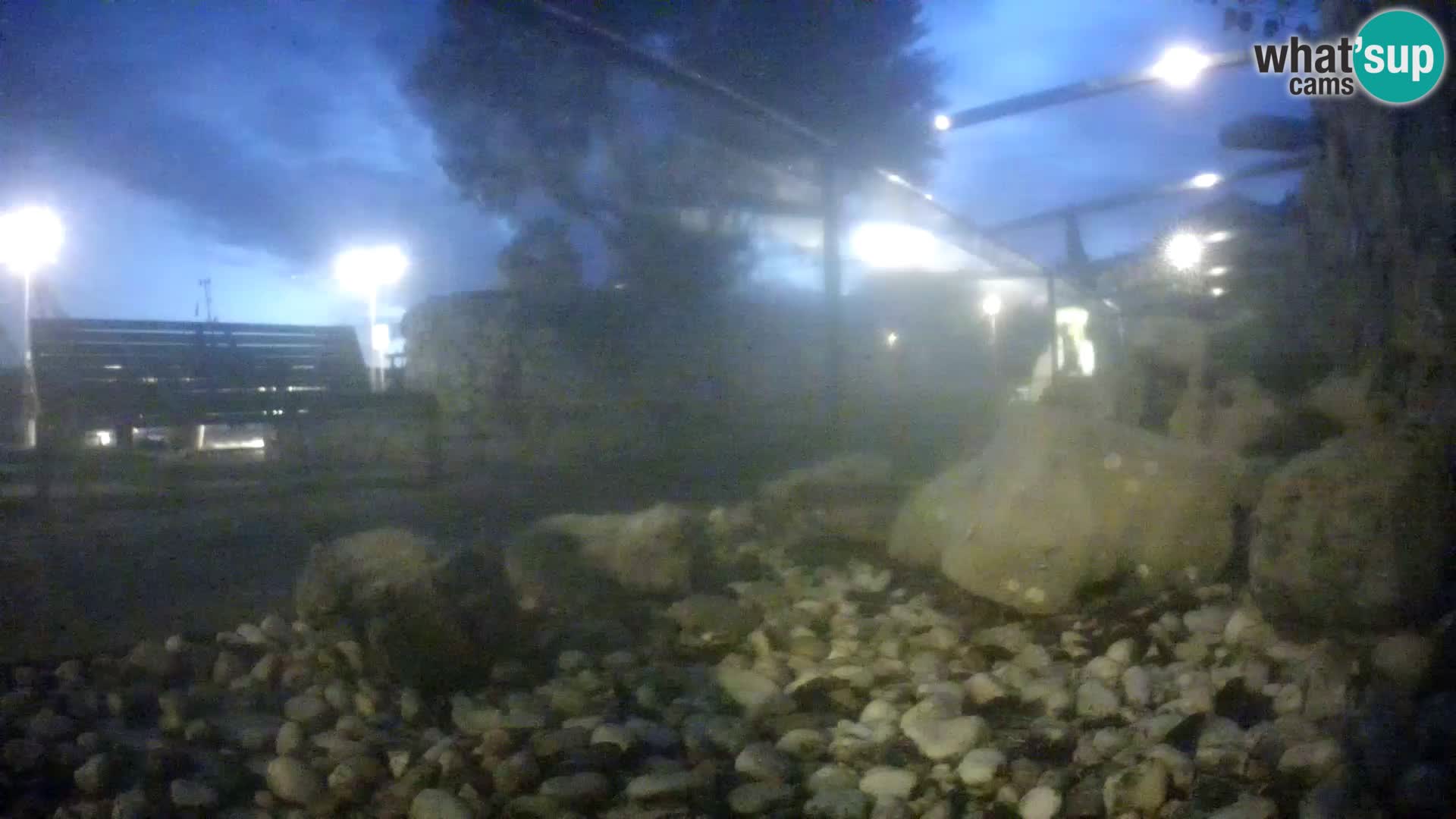 Vanjski morski akvarij Rogoznica web kamera Hrvatska