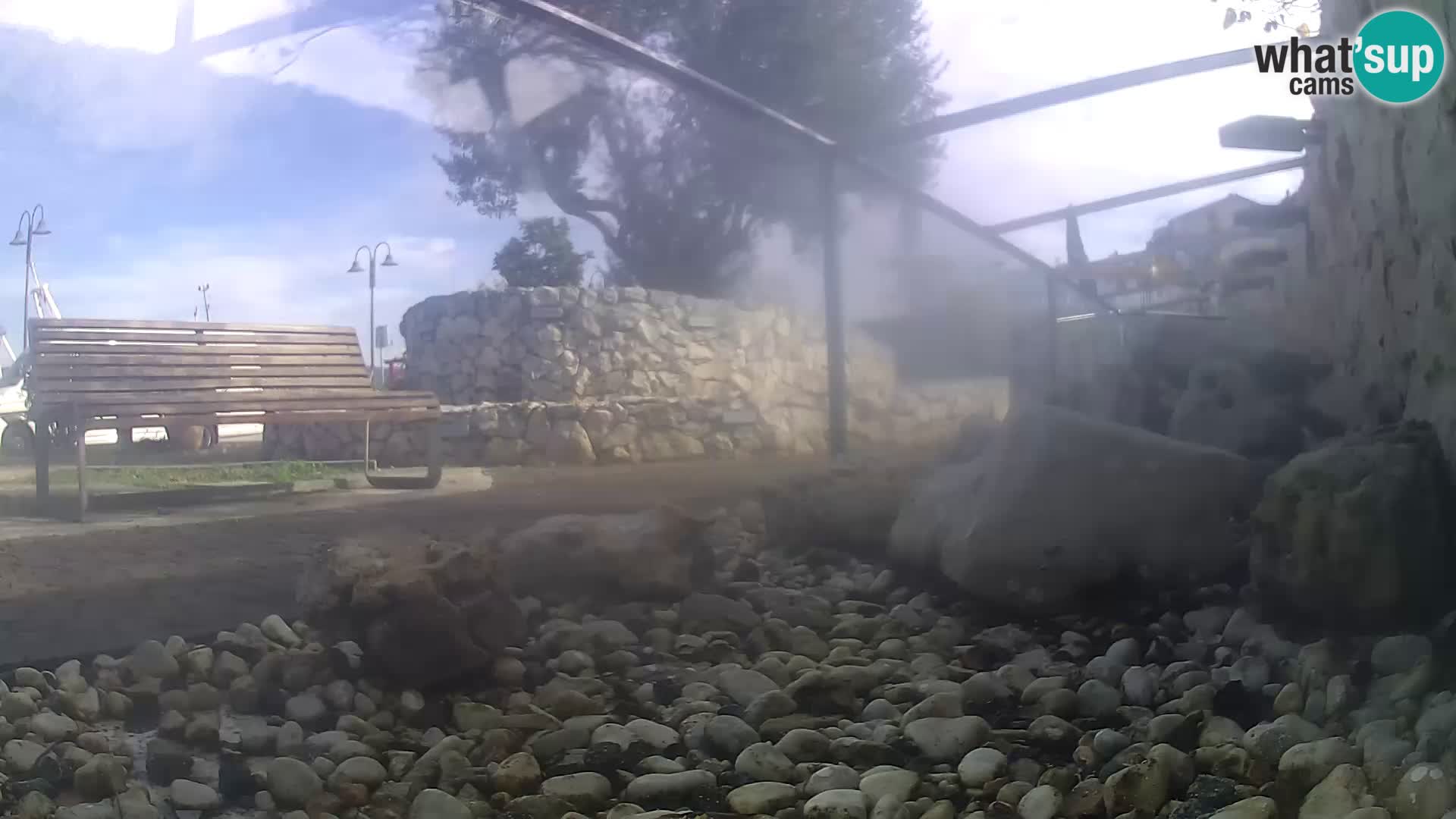 Vanjski morski akvarij Rogoznica web kamera Hrvatska