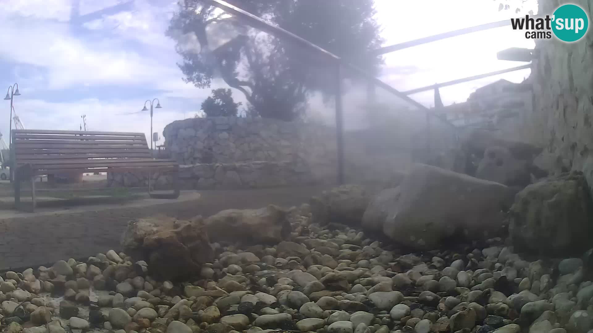 Zunanji morski akvarij Rogoznica spletna kamera Hrvaška
