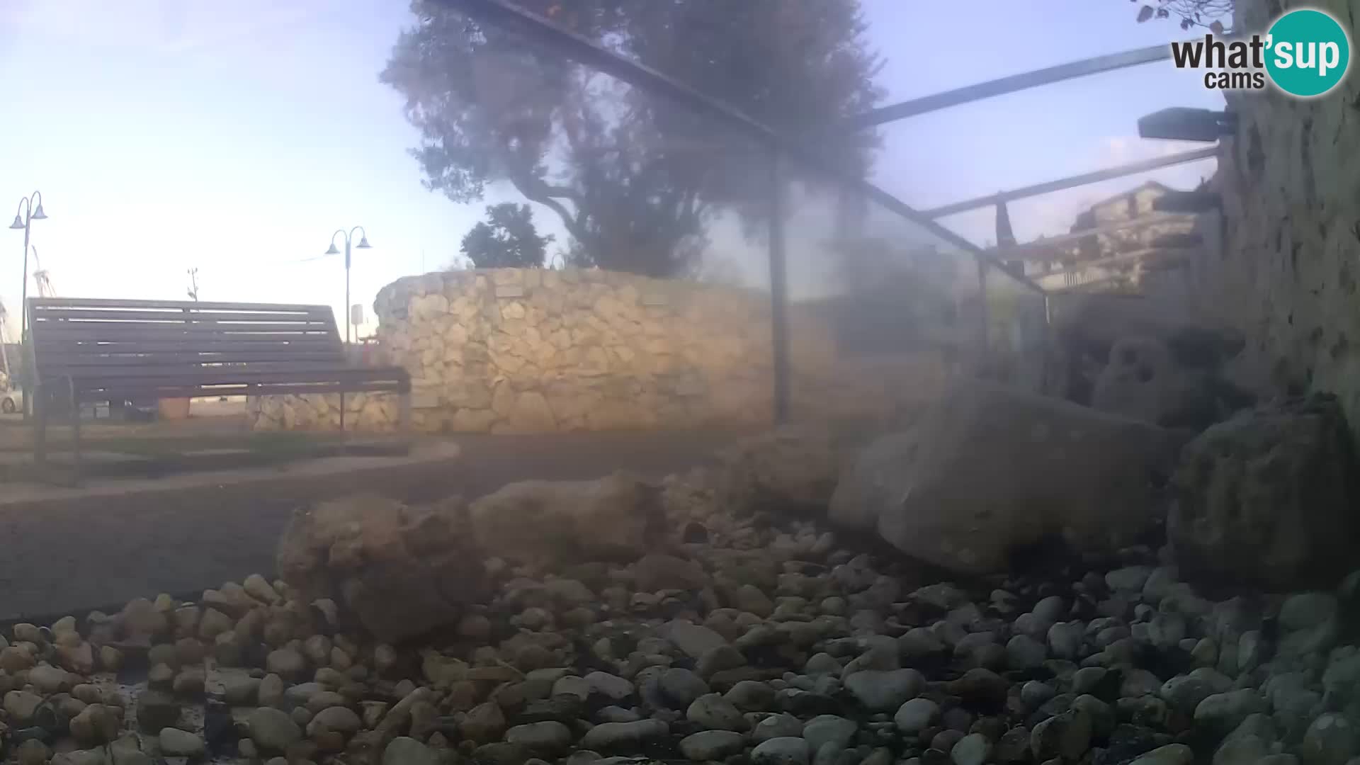 Vanjski morski akvarij Rogoznica web kamera Hrvatska