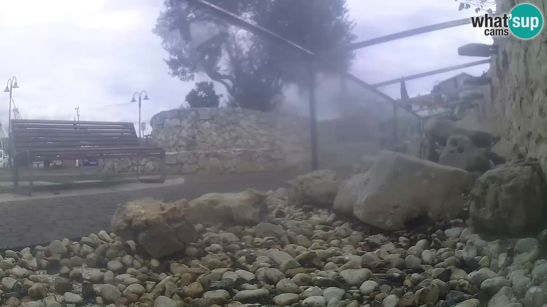 Webcam de l’aquarium marin extérieur de Rogoznica Croatie