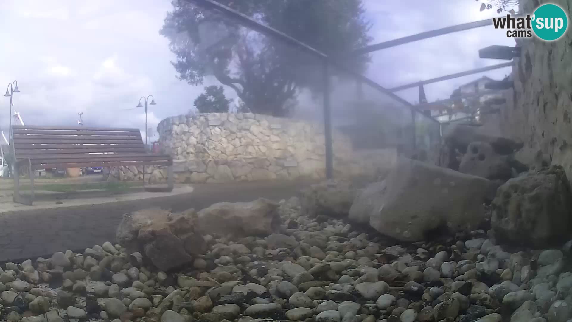 Webcam de l’aquarium marin extérieur de Rogoznica Croatie